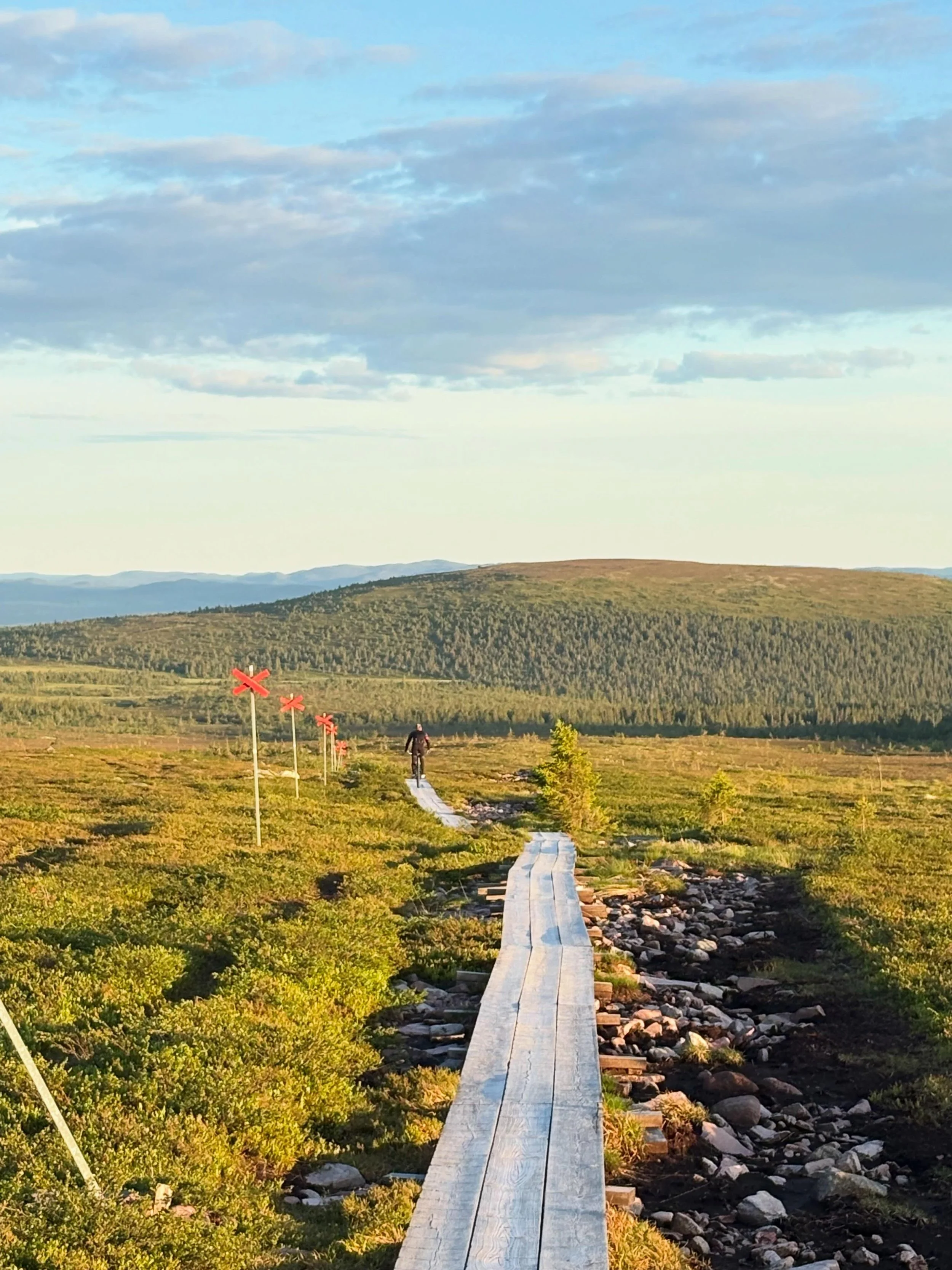 Just nu &auml;r fj&auml;llet som allra b&auml;st f&ouml;r b&aring;de cykel- och vandrings&auml;ventyr. Njut av magiska vyer, frisk fj&auml;lluft och fantastiska leder.

Beh&ouml;ver du hyra en cykel eller komplettera utrustningen inf&ouml;r din fj&au