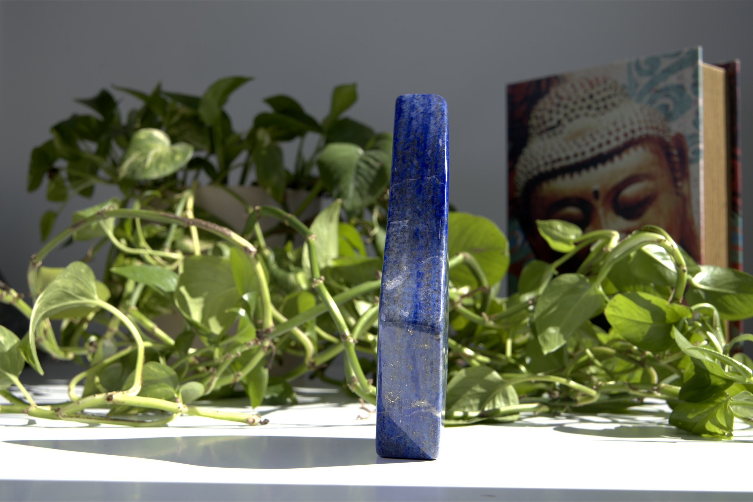 Photo Album 1 - 00000008.jpg