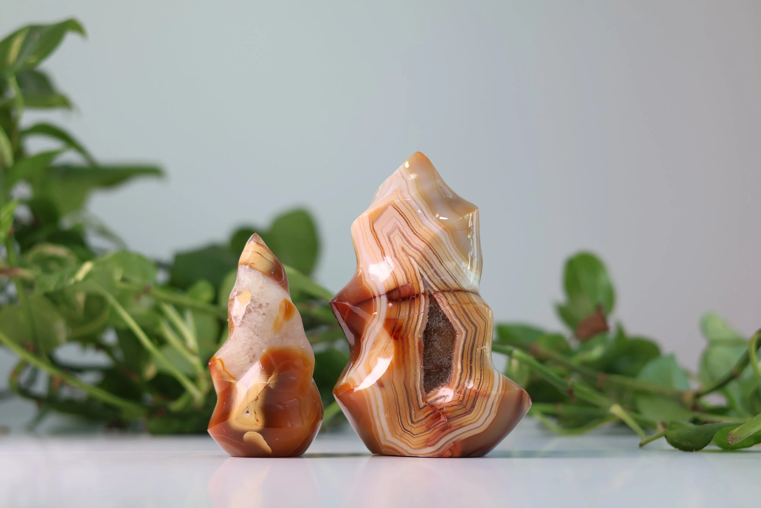 IMG_5014.JPG