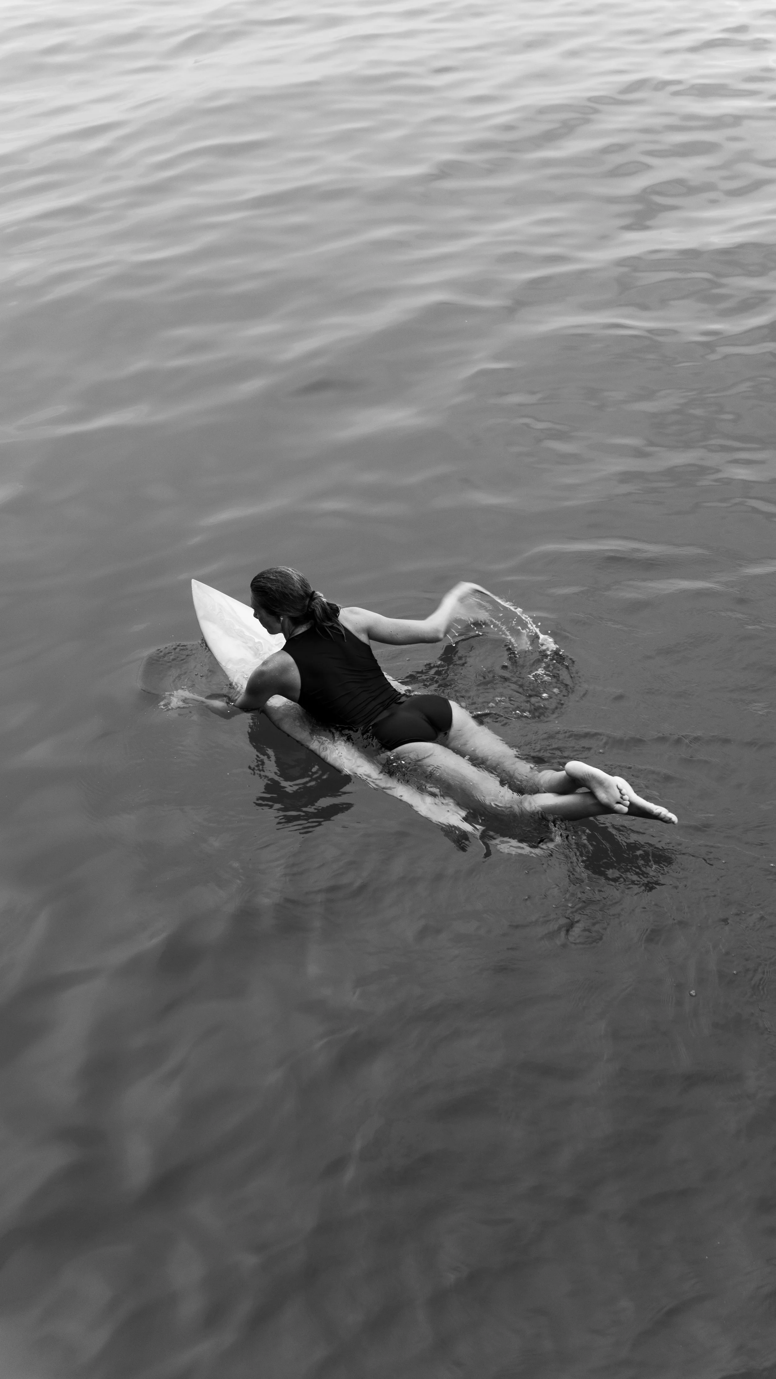 WDSC01004.jpg