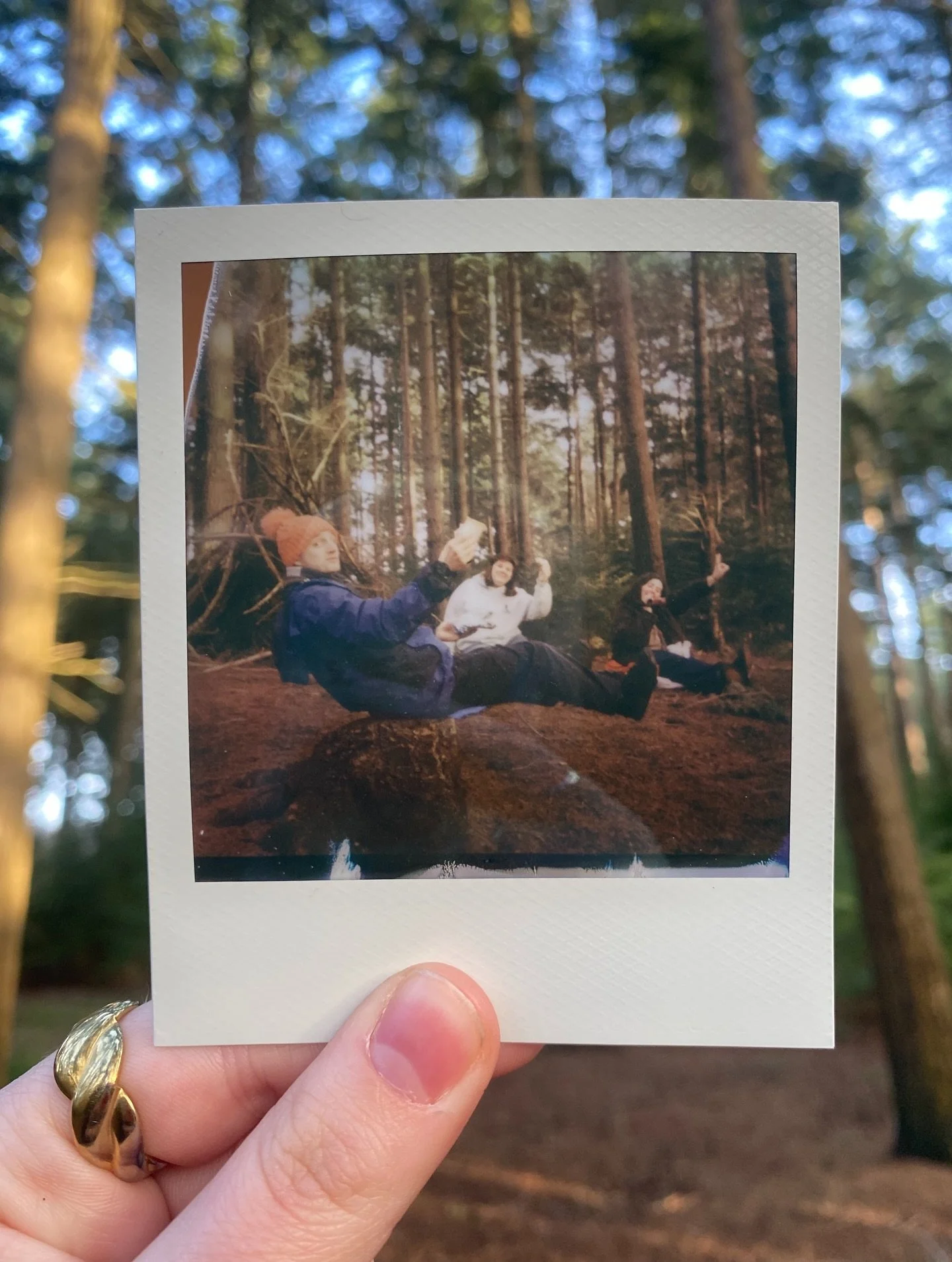 Polaroids from the woods 📸

#outdoors #rural #cic #theatre
