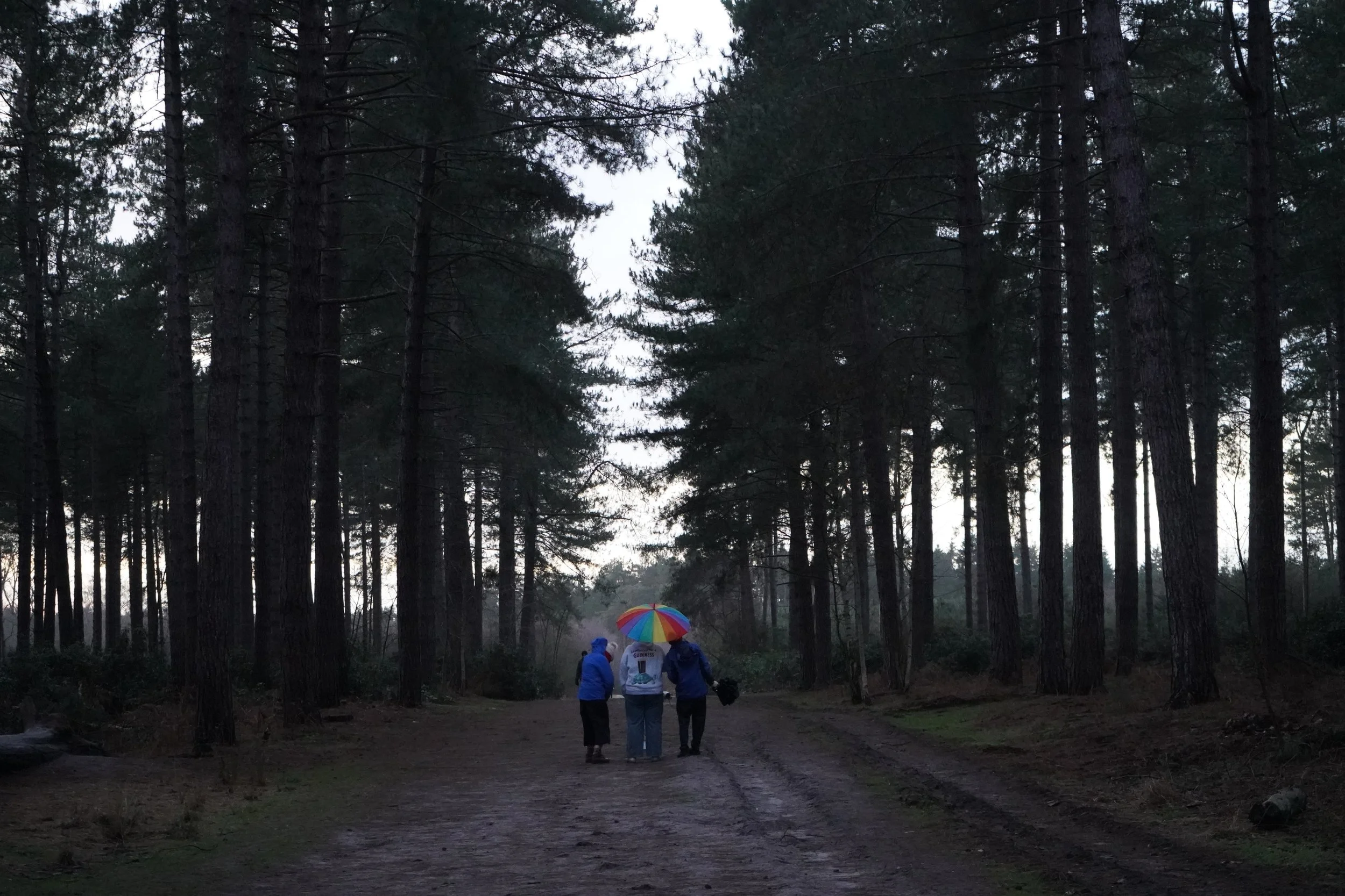 Theatre | Projection | Nature | Nighttime | Rural | Woodlands | Storytelling | Norfolk | King's Lynn | Creativity | Arts | Devising | Theatre Making