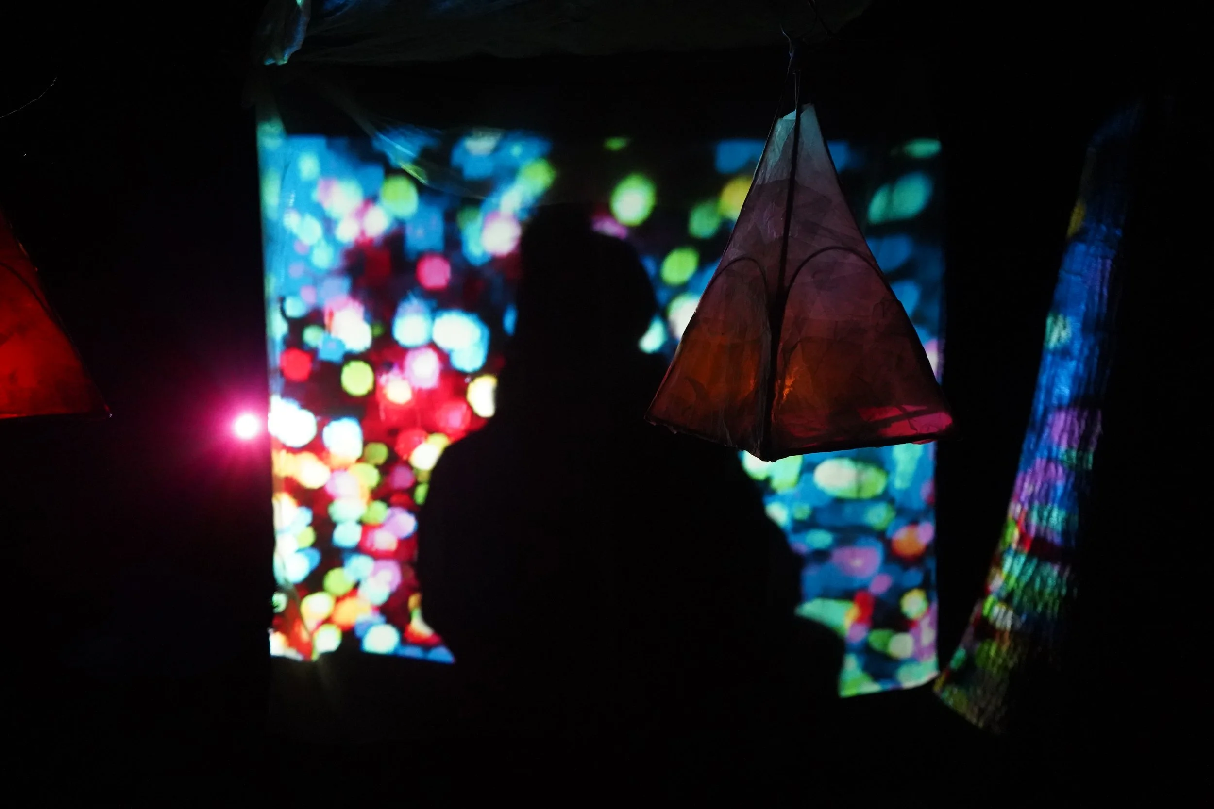 Theatre | Projection | Nature | Nighttime | Rural | Woodlands | Storytelling | Norfolk | King's Lynn | Creativity | Arts | Devising | Theatre Making