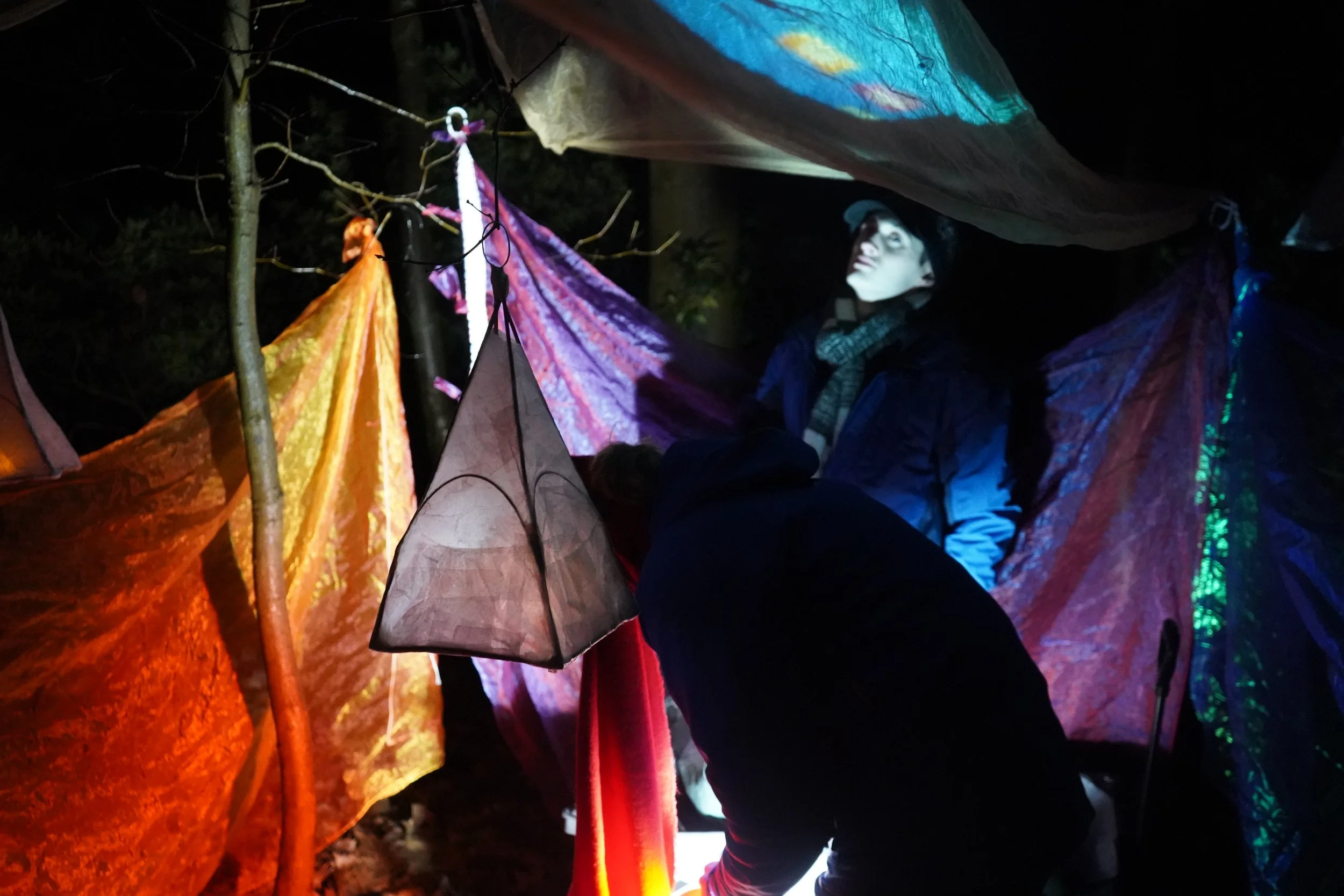 Theatre | Projection | Nature | Nighttime | Rural |Woodlands | Storytelling | Norfolk | King's Lynn | Creativity | Arts