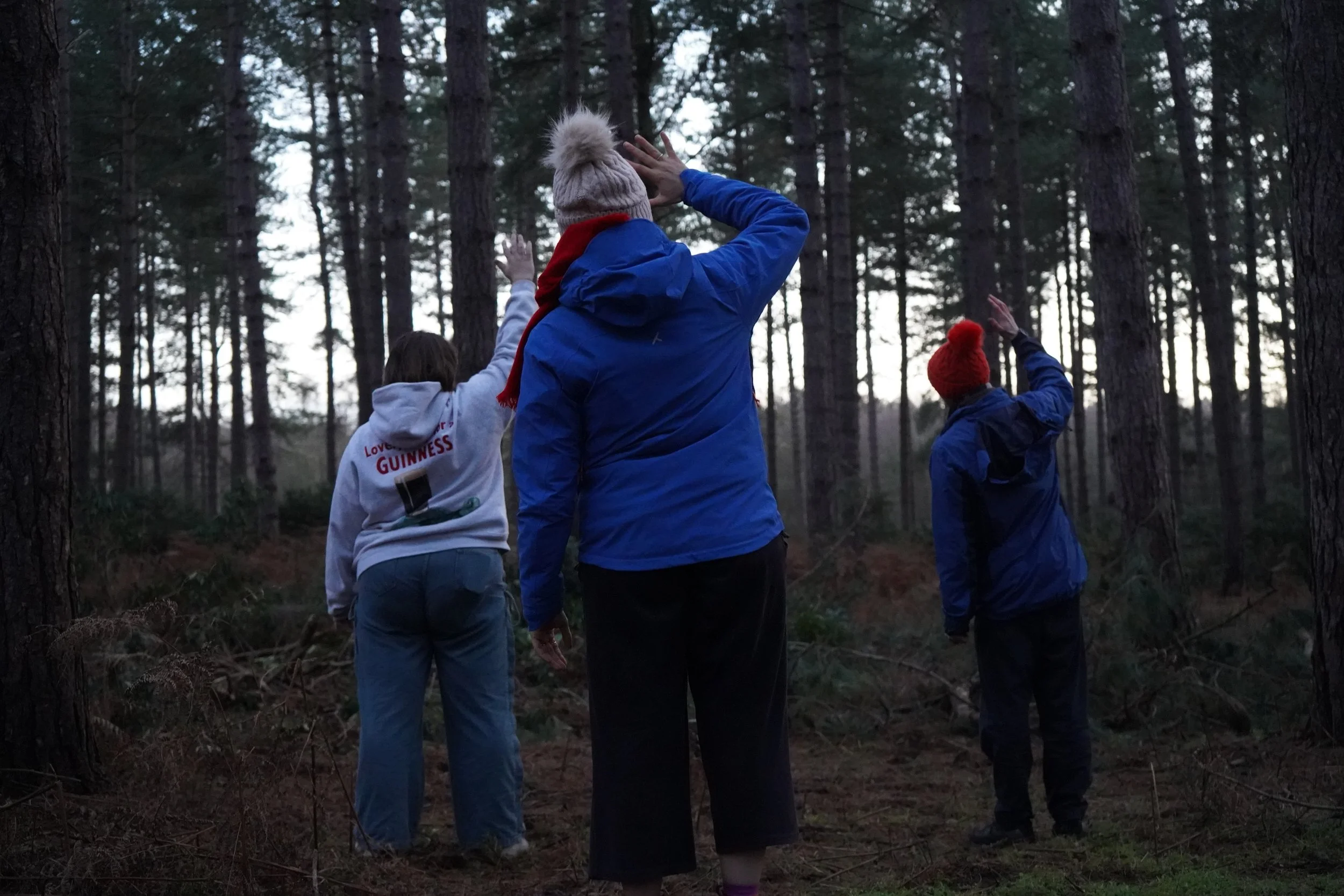 Theatre | Projection | Nature | Nighttime | Rural | Woodlands | Storytelling | Norfolk | King's Lynn | Creativity | Arts | Devising | Theatre Making