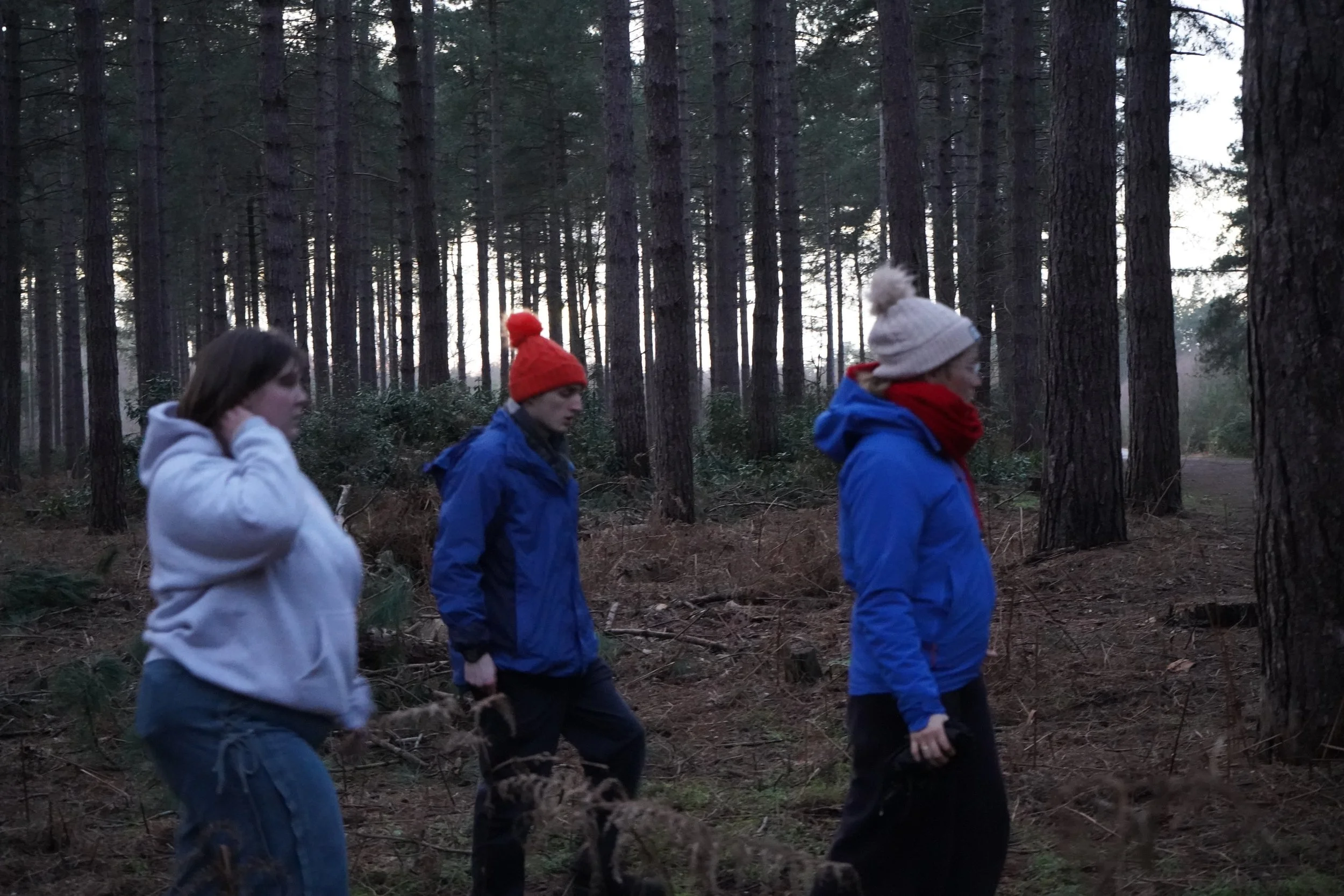 Theatre | Projection | Nature | Nighttime | Rural | Woodlands | Storytelling | Norfolk | King's Lynn | Creativity | Arts | Devising | Theatre Making