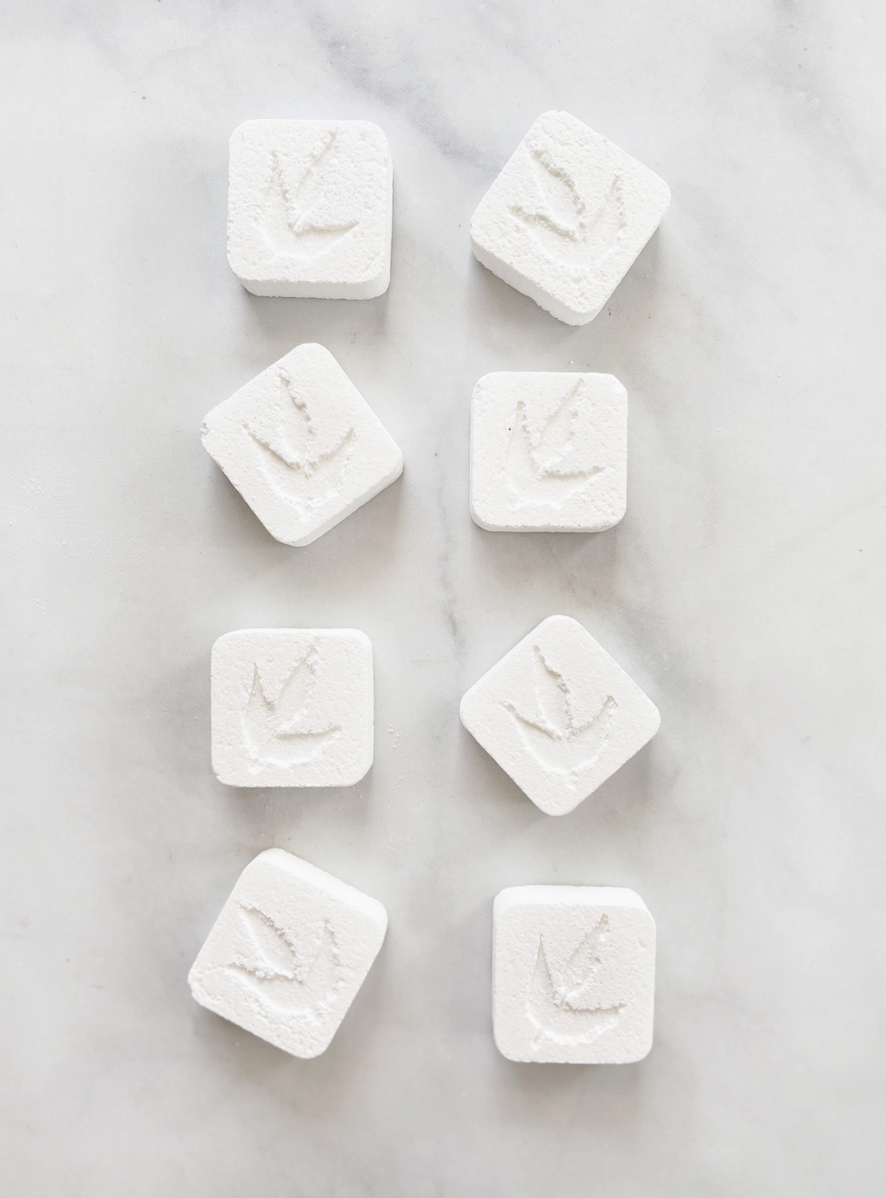 Screenshot 2026-08-19 at 10.45.55 AM.png