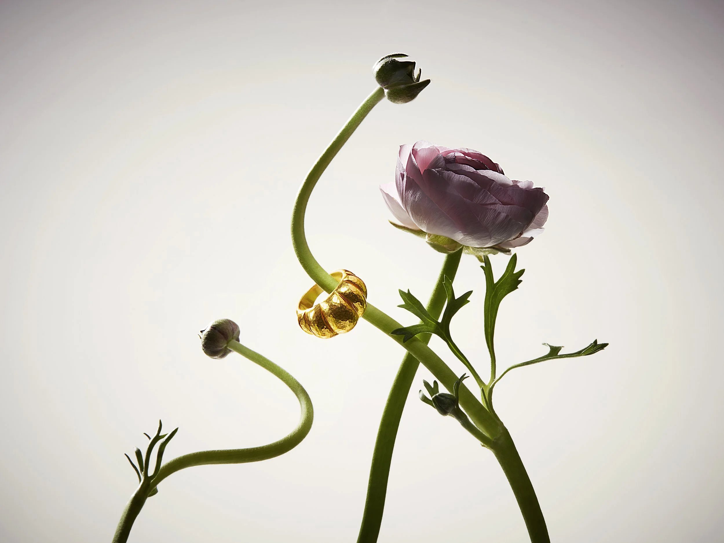 0323_THG0010893_TG_PORTFOLIO BOTANICAL BEAUTY_Shot_2.jpg