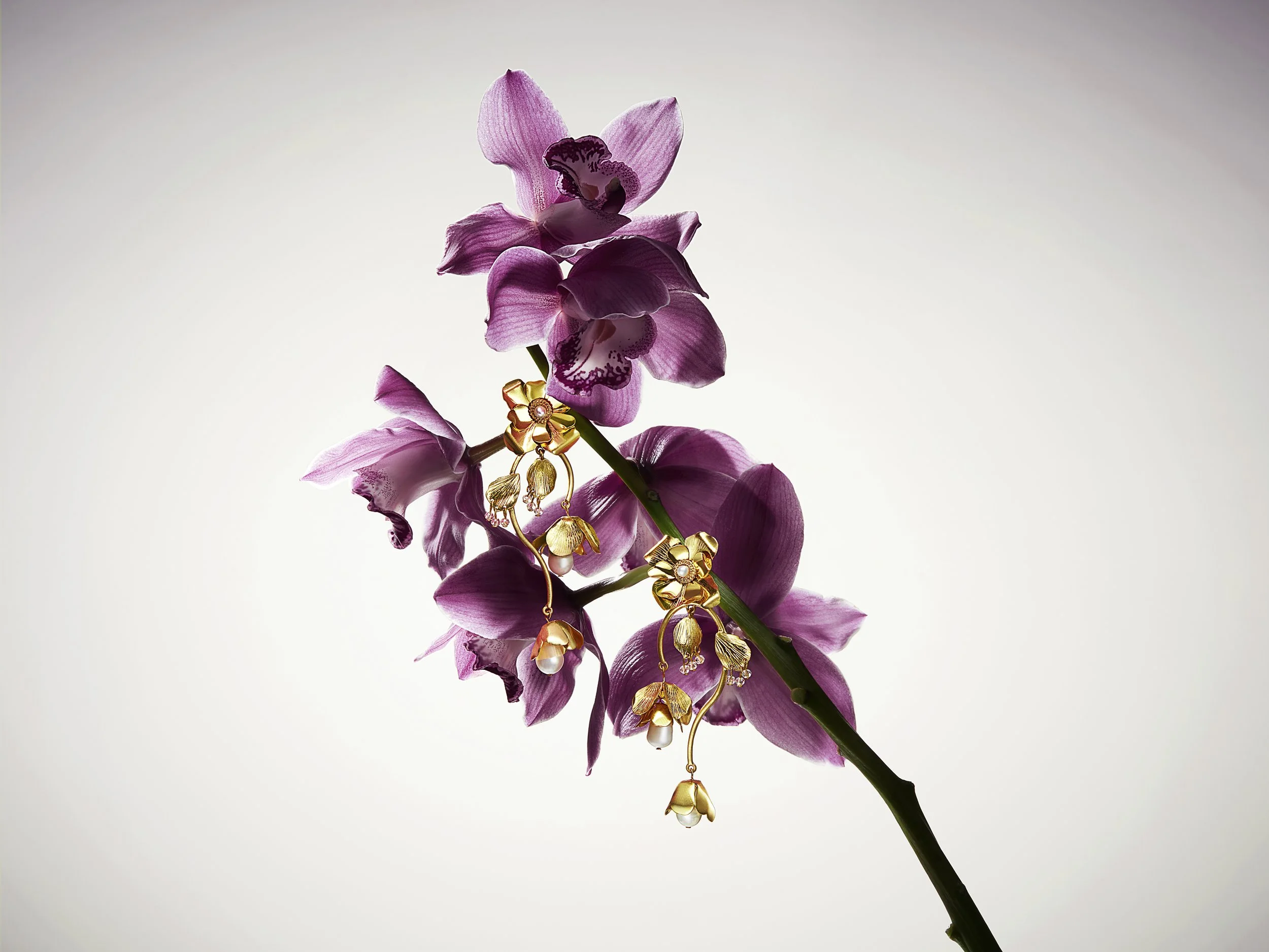 0323_THG0010893_TG_PORTFOLIO BOTANICAL BEAUTY_Shot_6.jpg