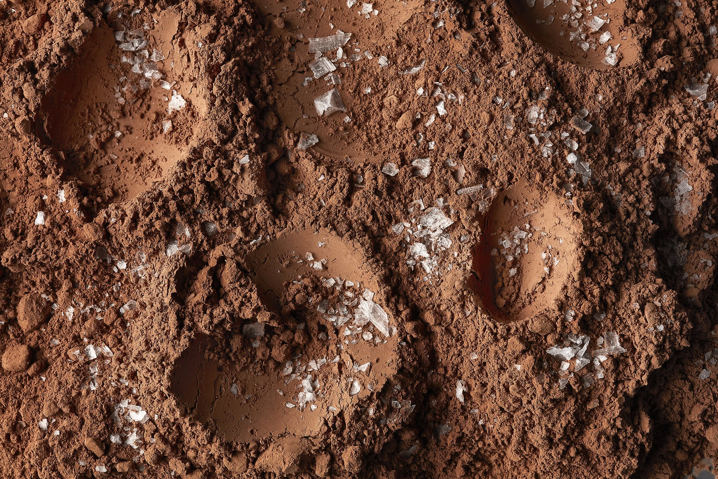 1023_THG0071377_MYV_REBRAND_SHOT 05_V3 copys.jpg