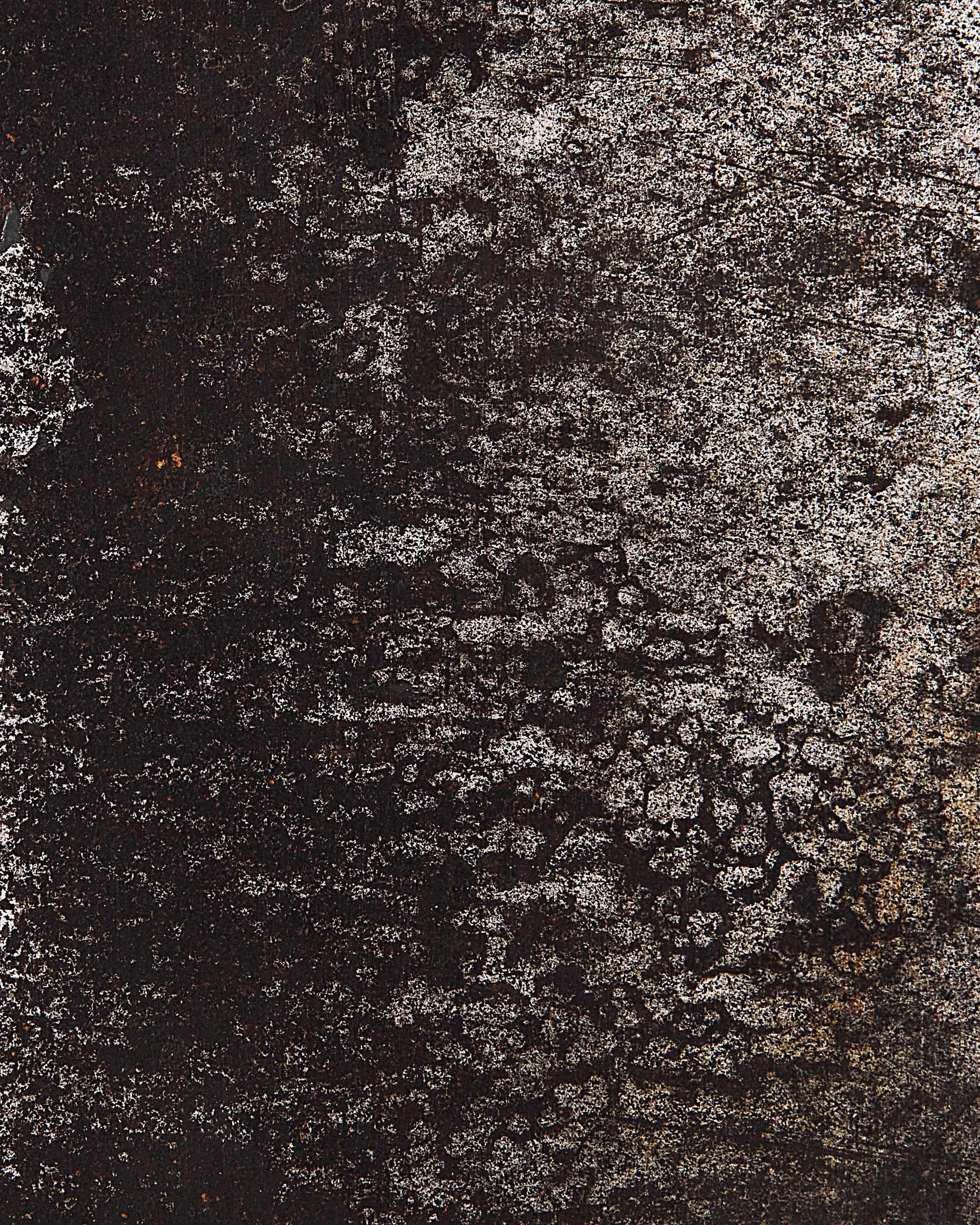 Gav Macro2119 copy.jpg