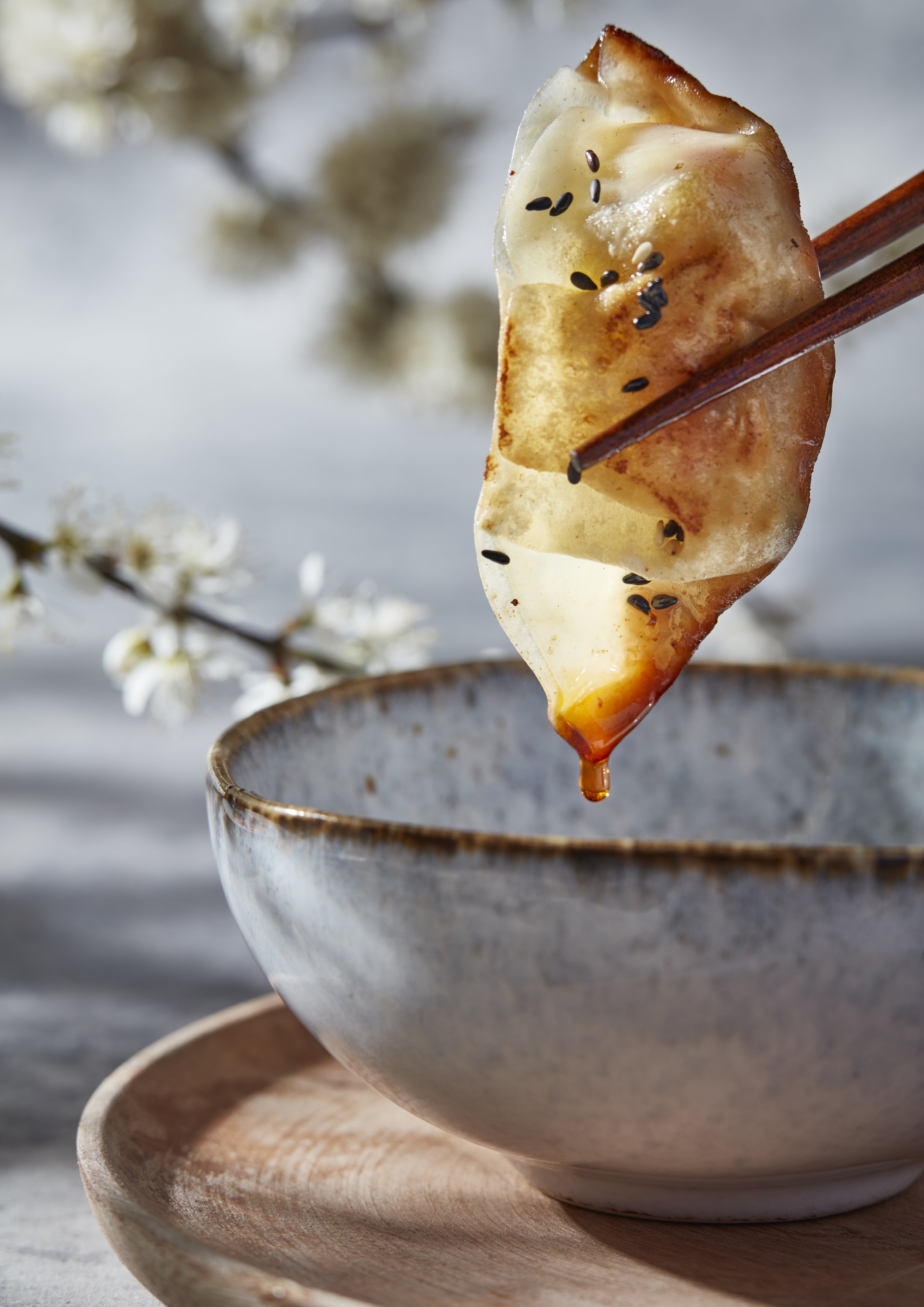 TEST SHOTS_2022_APRIL_GYOZA_HELD.jpg