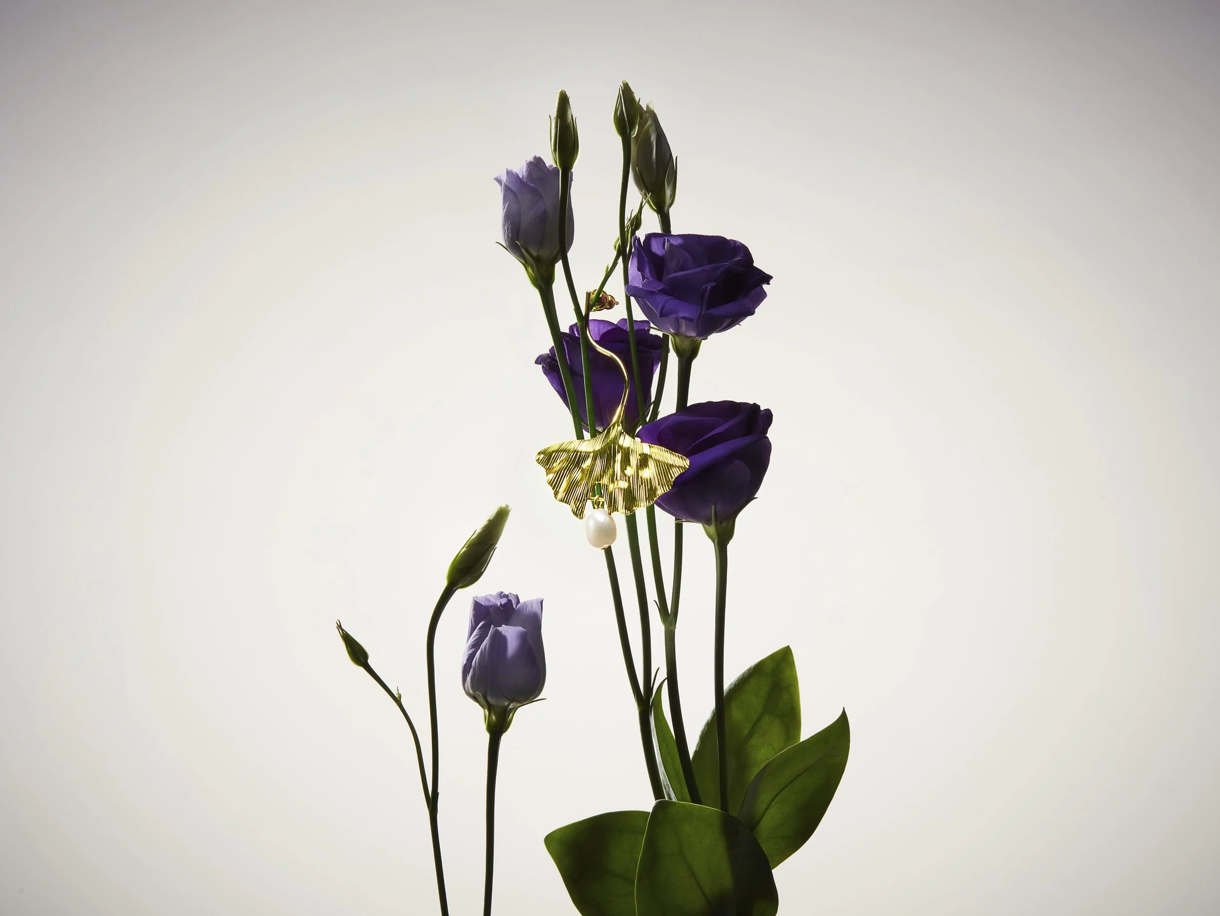 0323_THG0010893_TG_PORTFOLIO BOTANICAL BEAUTY_Shot_3.jpg