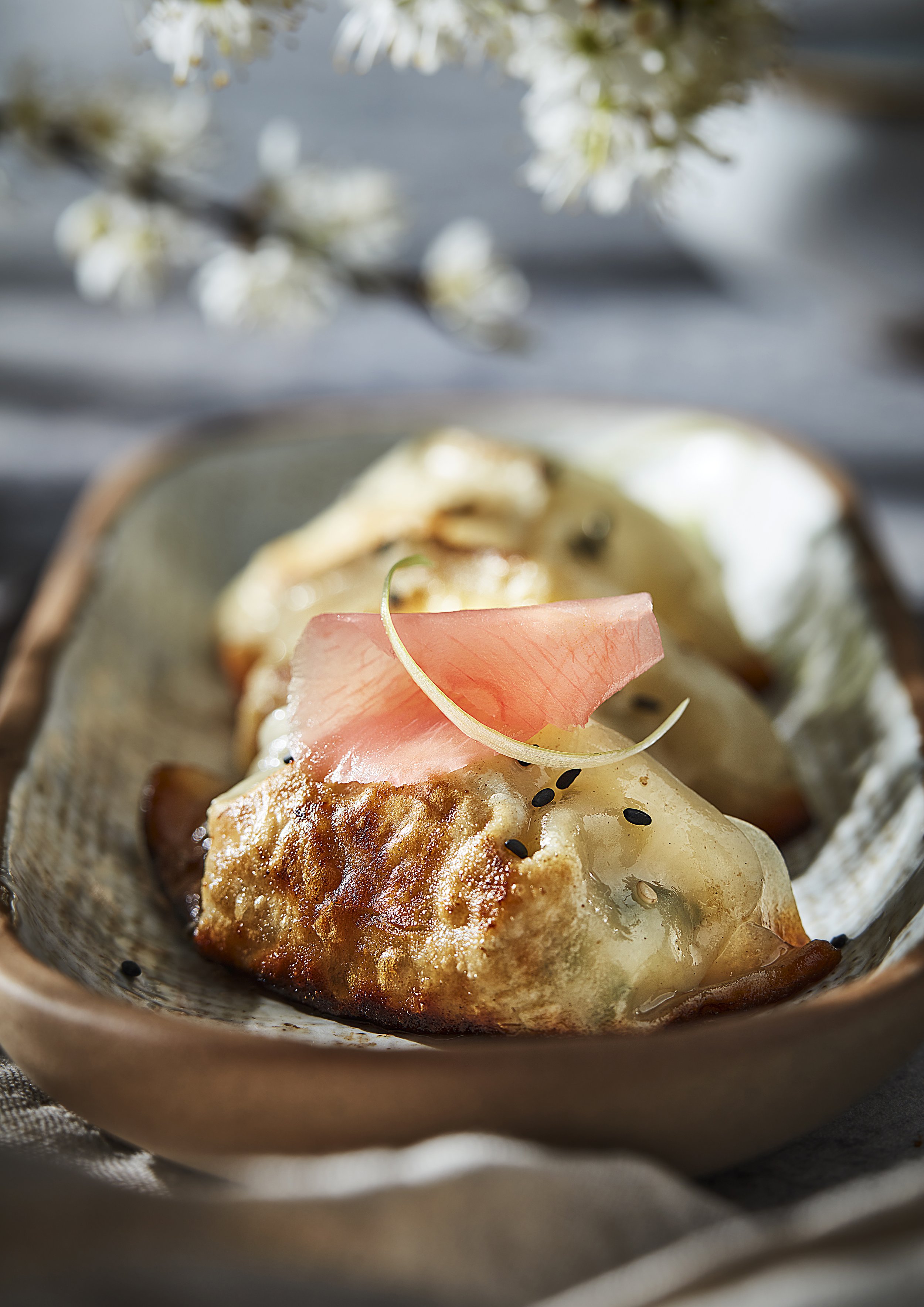 TEST SHOTS_2022_APRIL_GYOZA_LOW copy.jpg