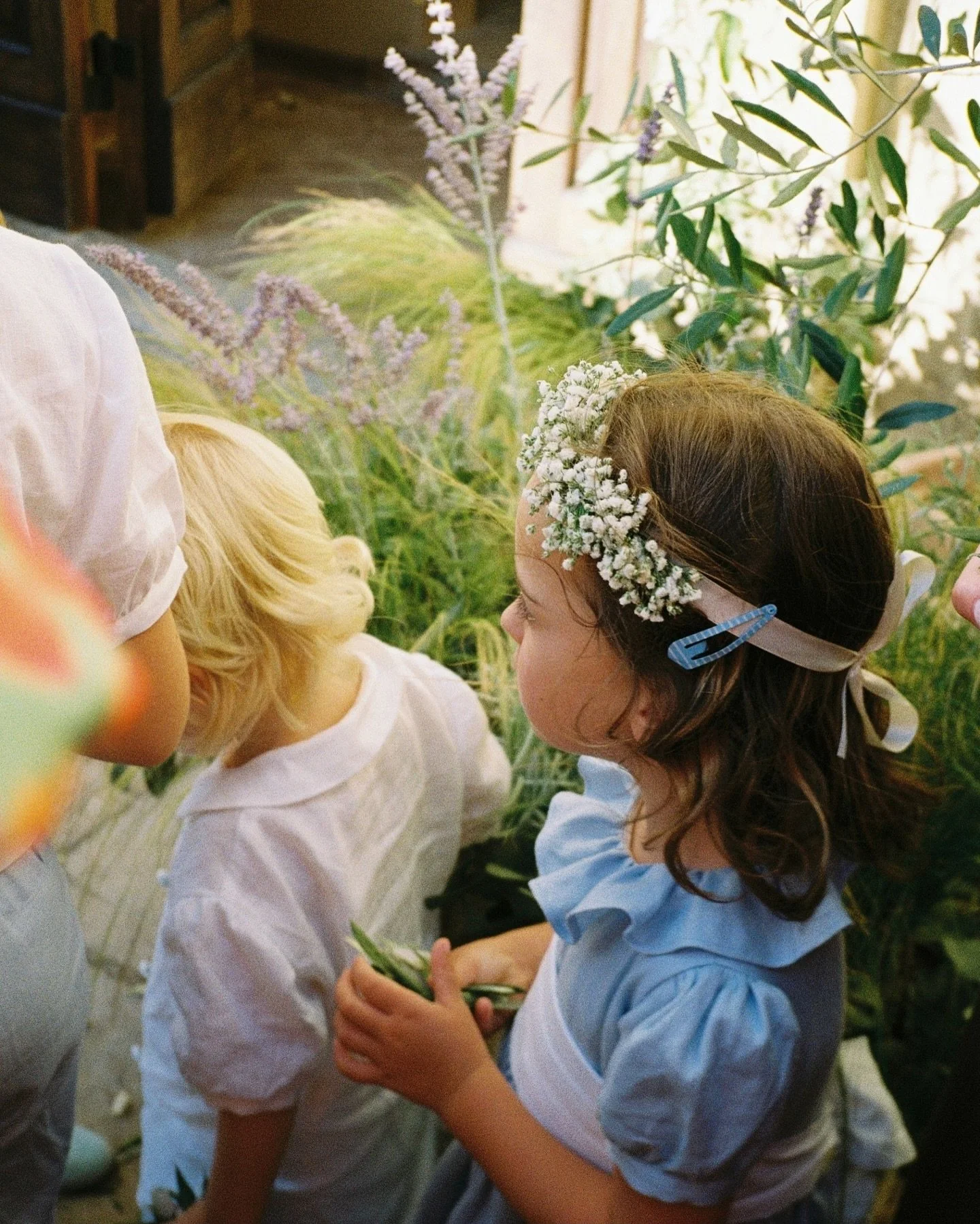 Flower girl in Italy🤍
.
.
.
.
#weddingphotographer #weddingonfilm #analogwedding #weddingcontentcreator #italyweddingphotographer #ibizaweddingphotographer