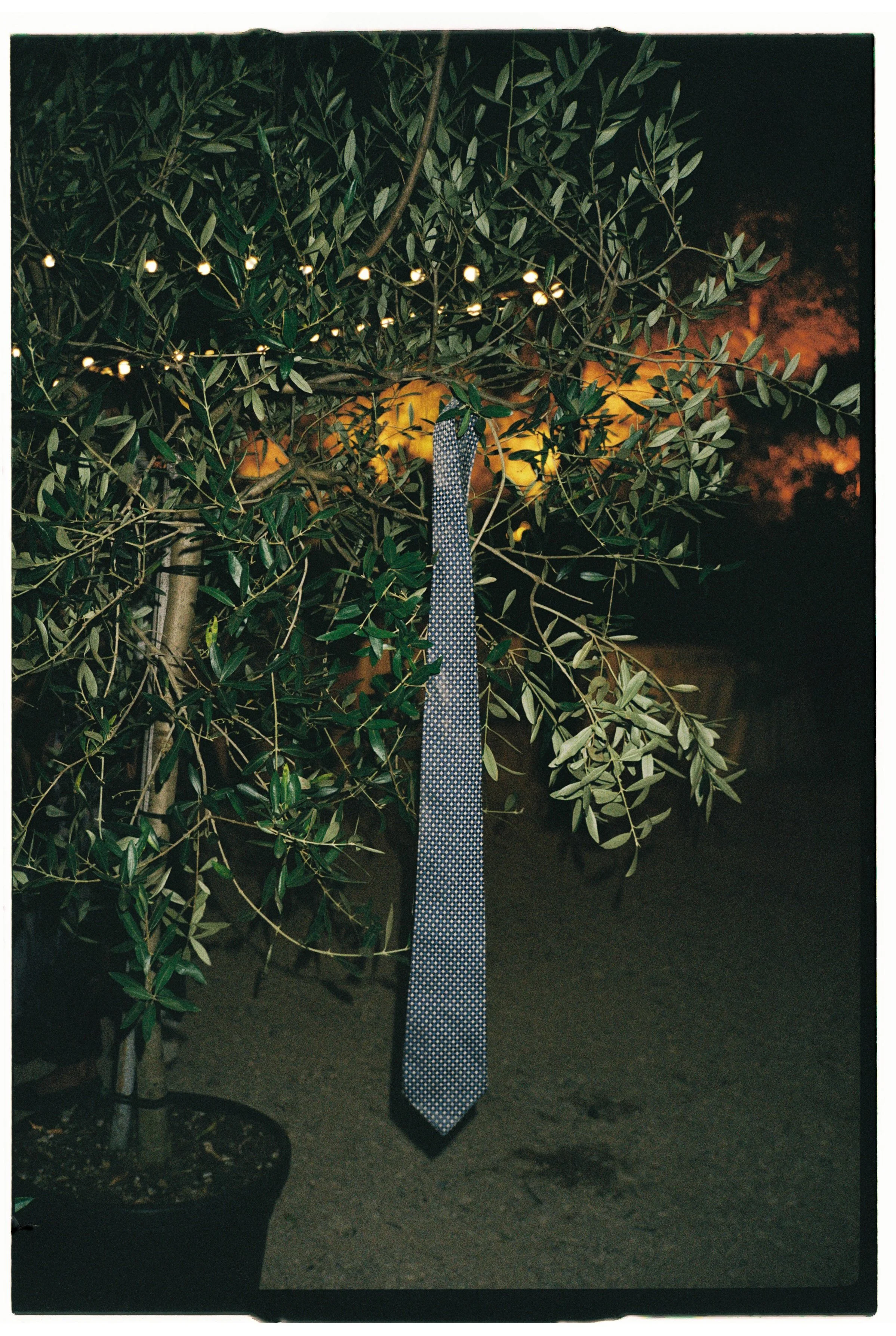 Mariuka & Aimone Wedding_1.jpg