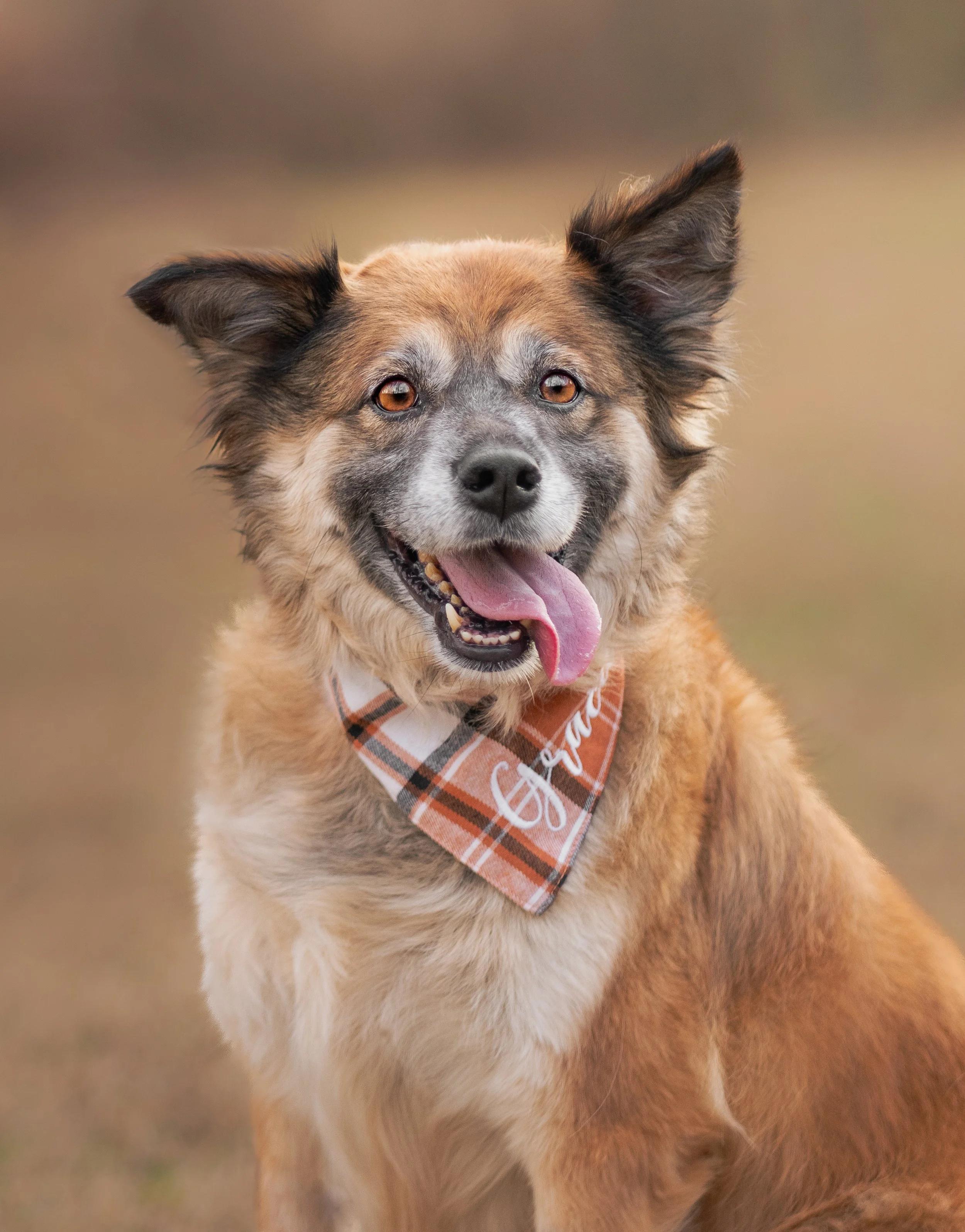 Adelyn Koz Photography