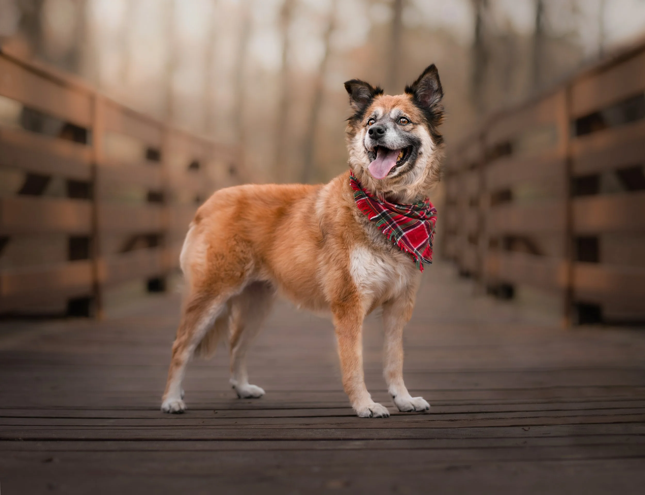 Adelyn Koz Photography