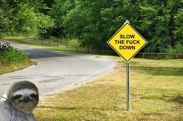 S l o w…  D o w n…