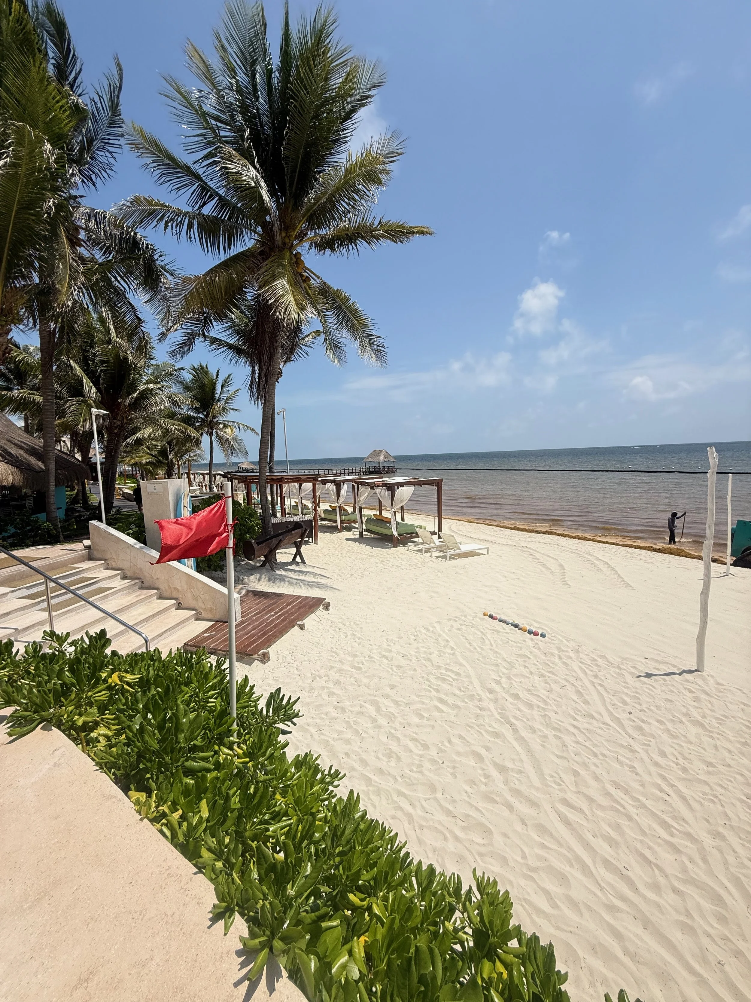 Beach Cleanup During Sargassum Season at Margaritaville Island Reserve Riviera Cancun