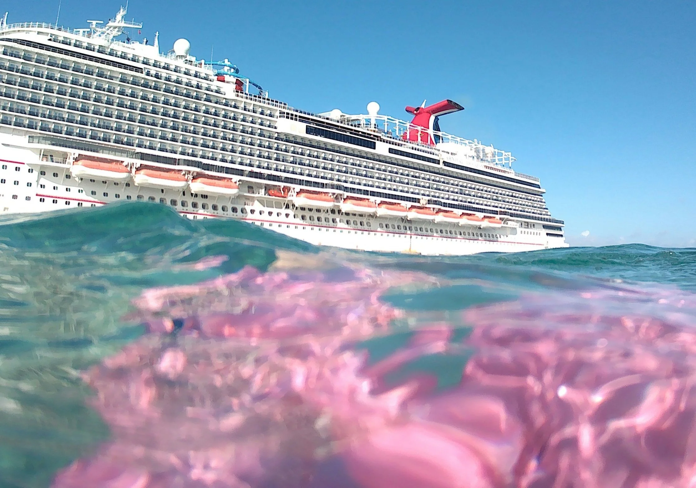 Large cruise ship floating in the ocean under a blue sky, with pink and purple coral seen underwater in the foreground.