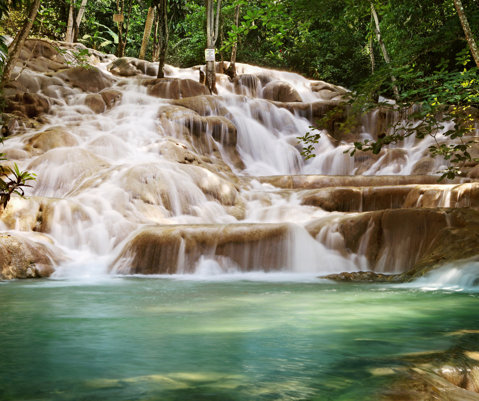 Tropical waterfall surrounded by lush rainforest in Ocho Rios, Jamaica, known for adventure and natural beauty.