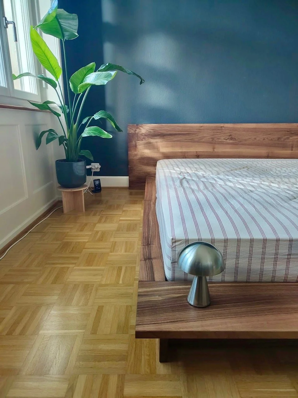 bearbeitet DC8ECD29-A4C9-40DD-909A-07C6C53E6509.jpg