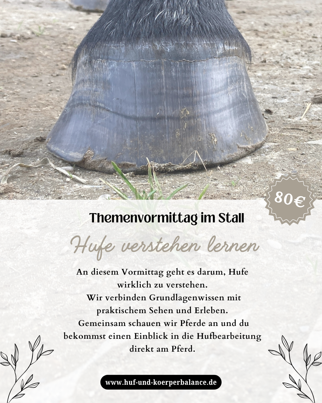 Hufe verstehen lernen