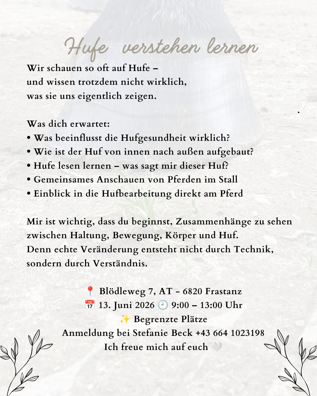 Hufe verstehen lernen