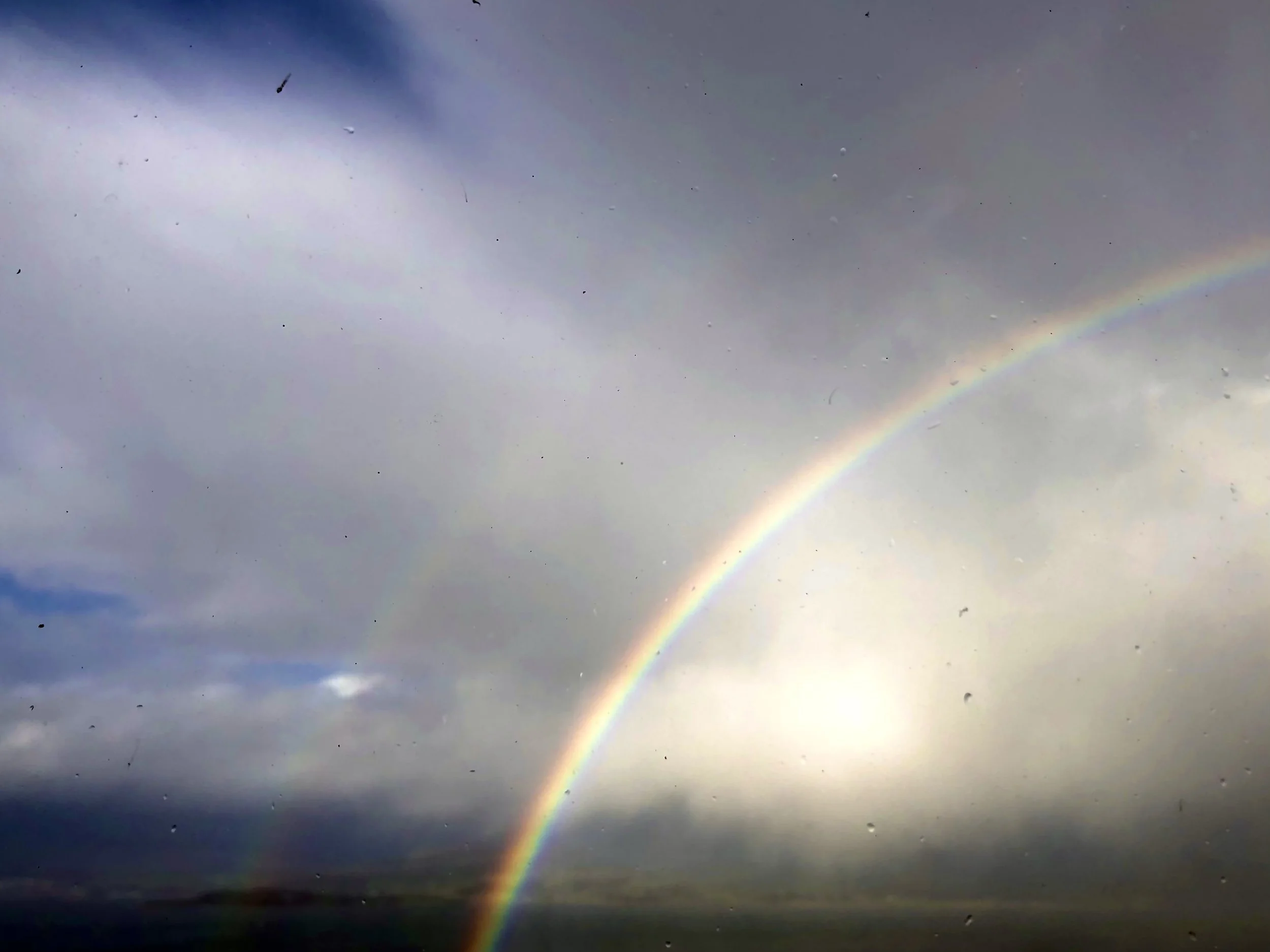 The Soul comes to Earth to Play