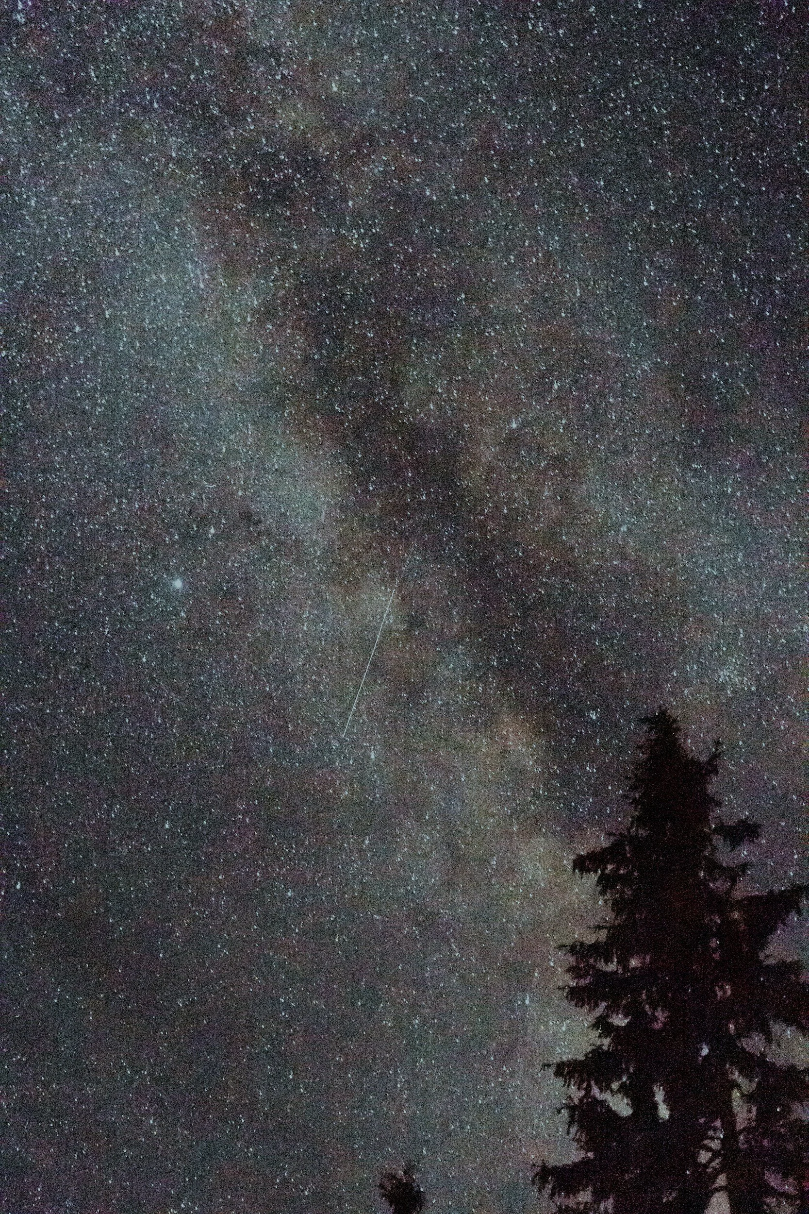 We Ceaselessly Pray for Our Descendants