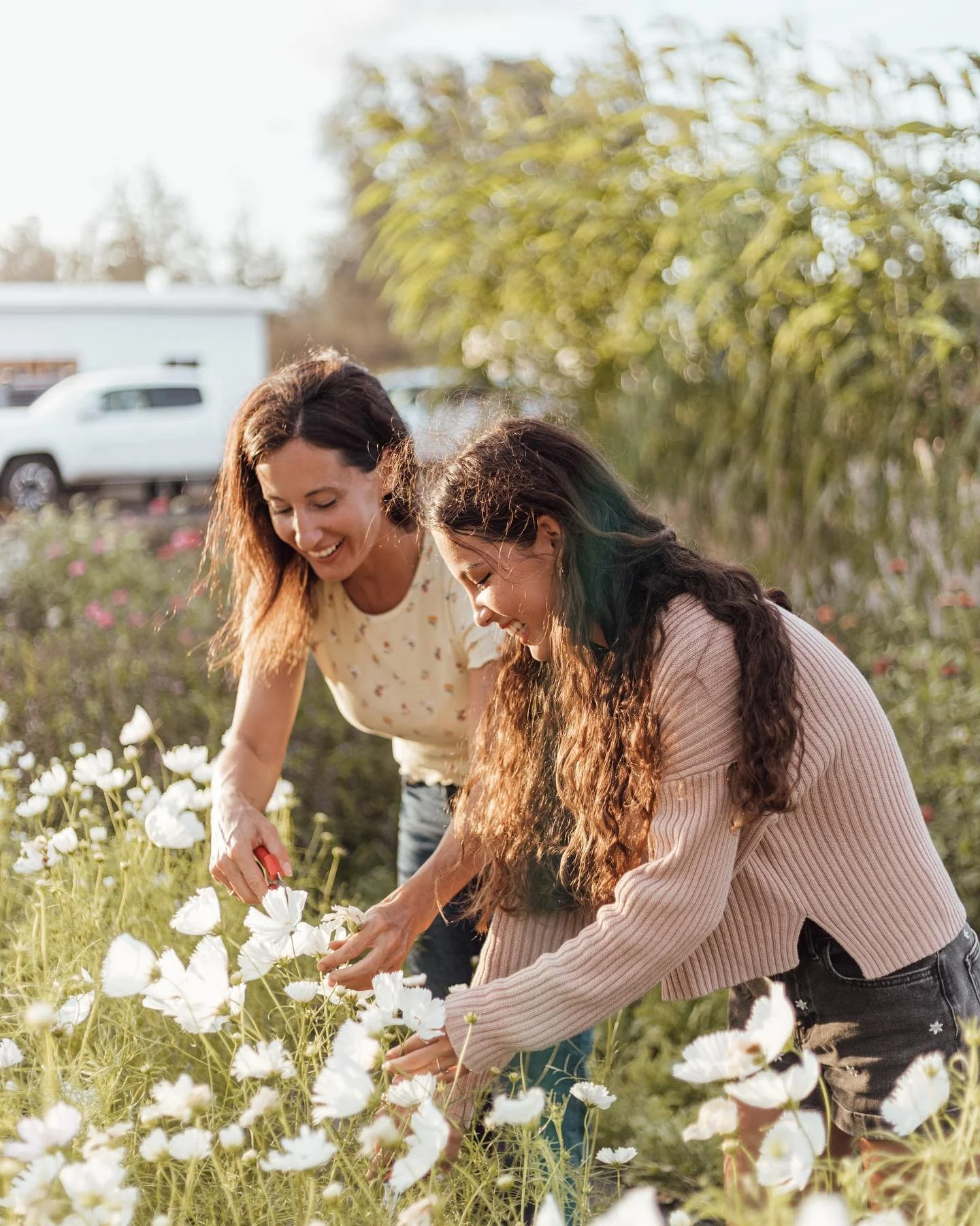 Our flowers have finished for the season.  We are taking a break for the holidays but will be back at it in January with some seed starting tips! 
 
Next up is farm planning! Curious, what is your favorite warm weather flower? 

📸 @mikialaturner 

#