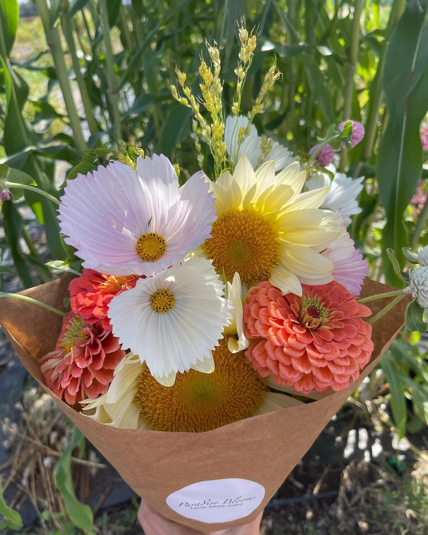 Specialty sunflowers and a spray of broom corn for Fall!! 🍁🍂🌾

#flowers #flower #flowerarrangement #flowerphotography #flowerlovers #flowerstagram #photography #photooftheday #flowerbouquet #hawaii #hawaiilife #oahu #oahuhawaii #flowershawaii #all