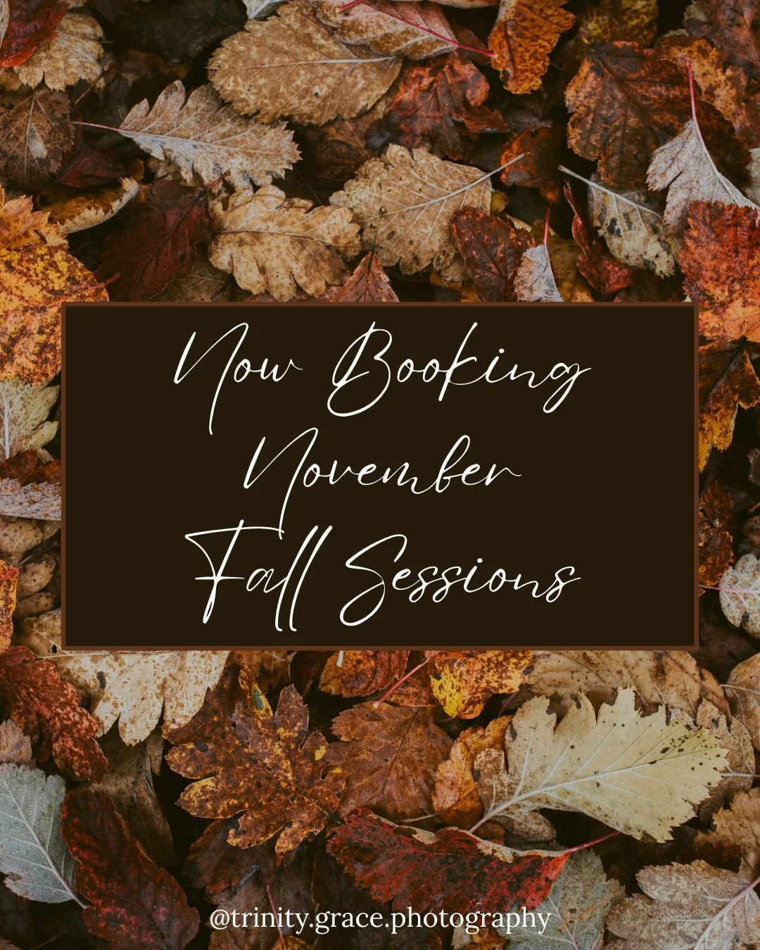 A background of fall leaves in various shades of brown, orange, and yellow. Overlaid is a dark brown rectangular box with white cursive text that reads 'Now Booking November Fall Sessions'. The bottom of the image credits @trinity.grace.photography.