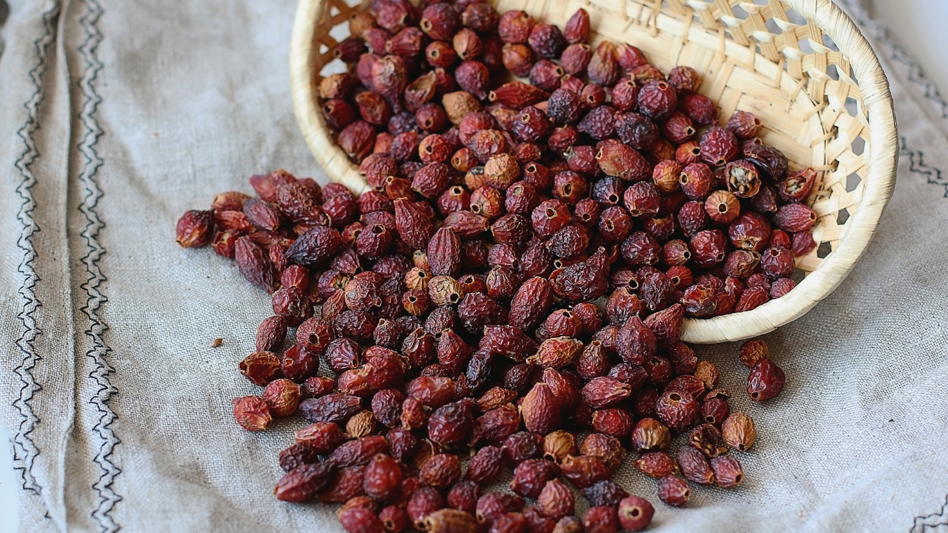 Rose Hips for Immunity: How to Support Your Body Naturally Through the Seasons