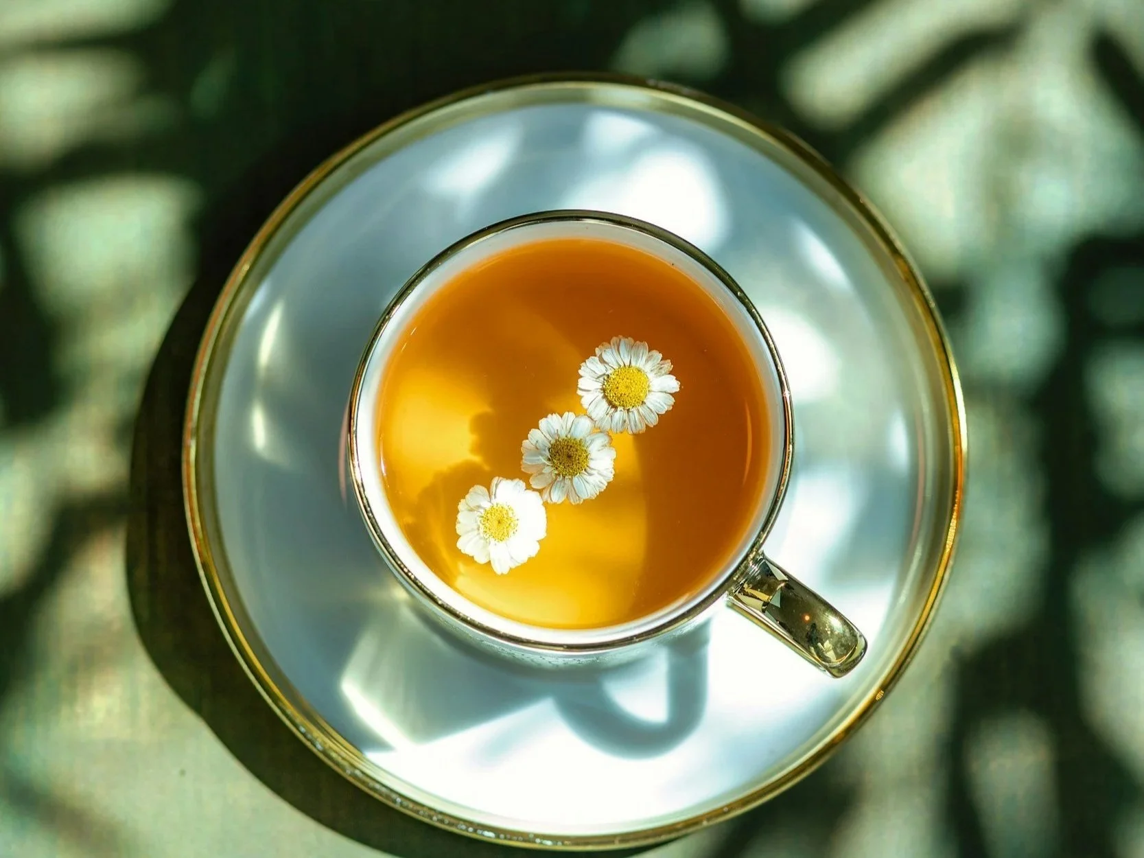 Your Nervous System Called — It Would Like Some Tea