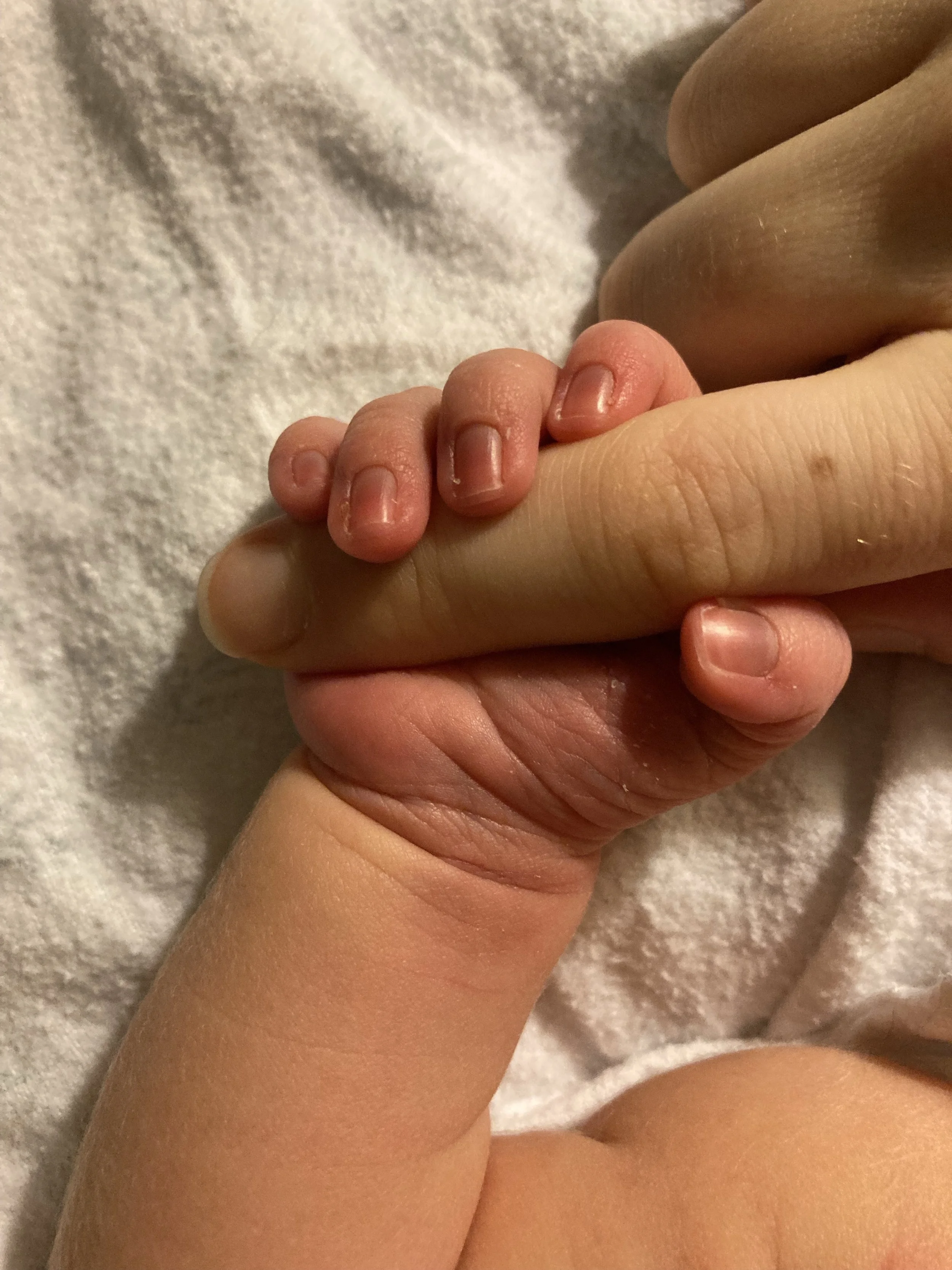 Baby holding adult’s finger symbolising protecting your family’s future with will writing in Cornwall