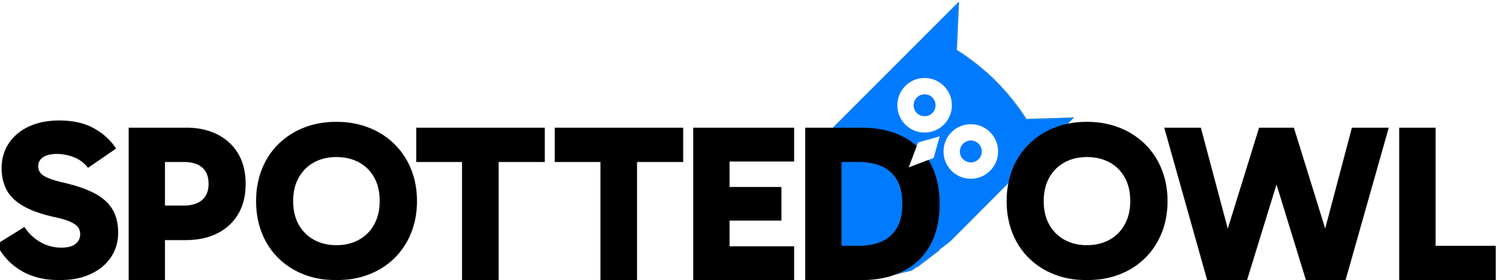Spotted Owl Digital Marketing