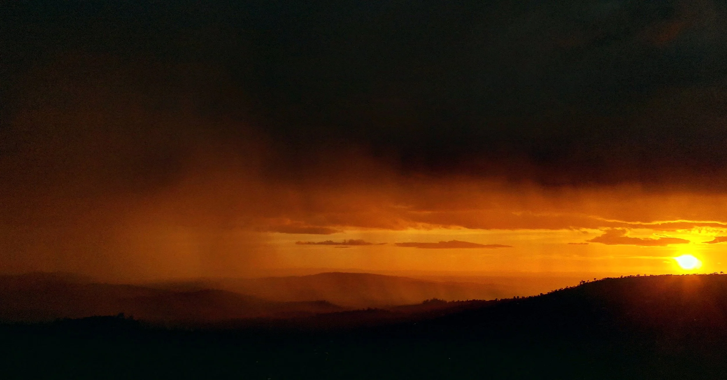 IMG_20210214_013711_076 copy.jpg