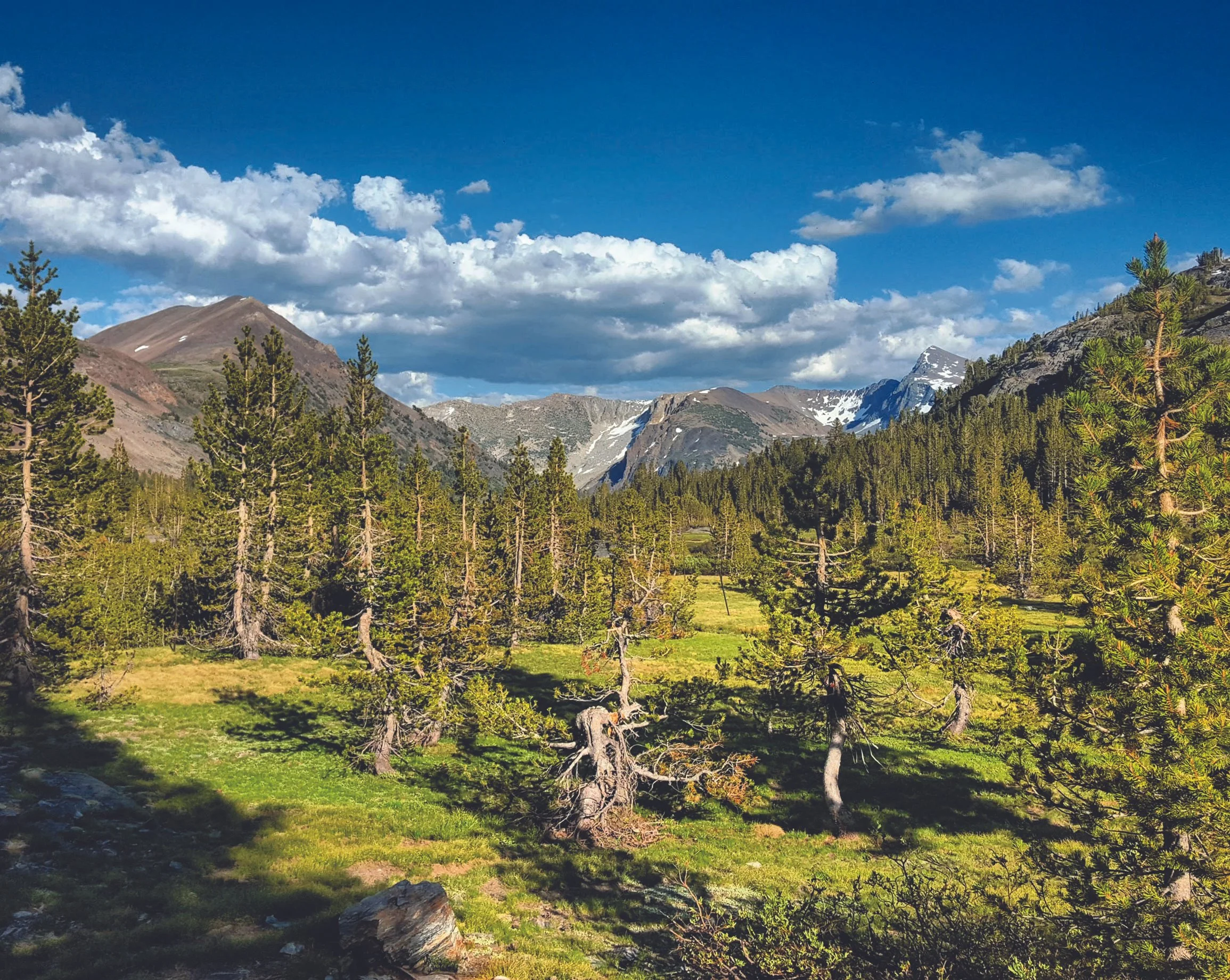 IMG_20200623_084220_526 77xC.jpg