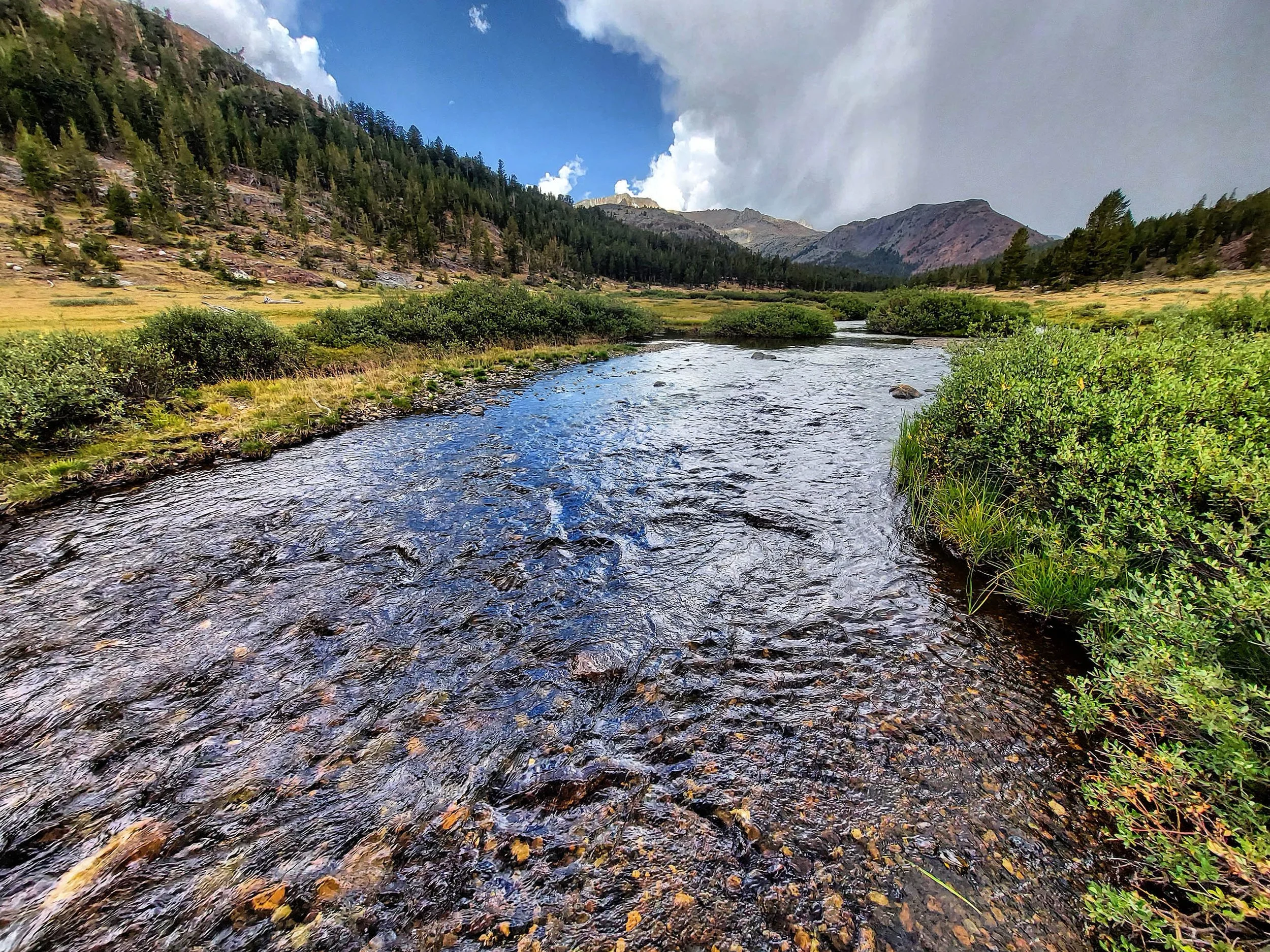 IMG_20200811_181534_281 85x.jpg