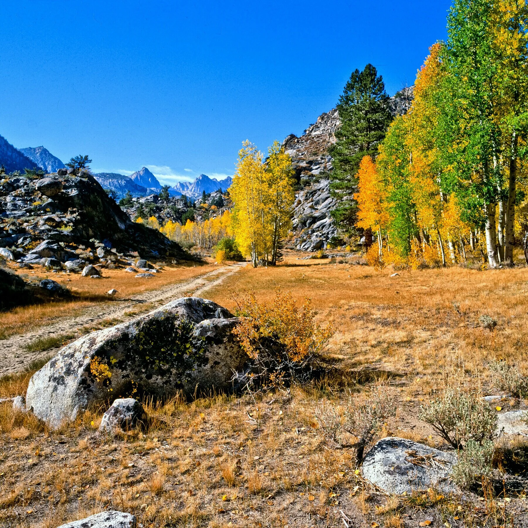 IMG_20121217_211429 copy.jpg