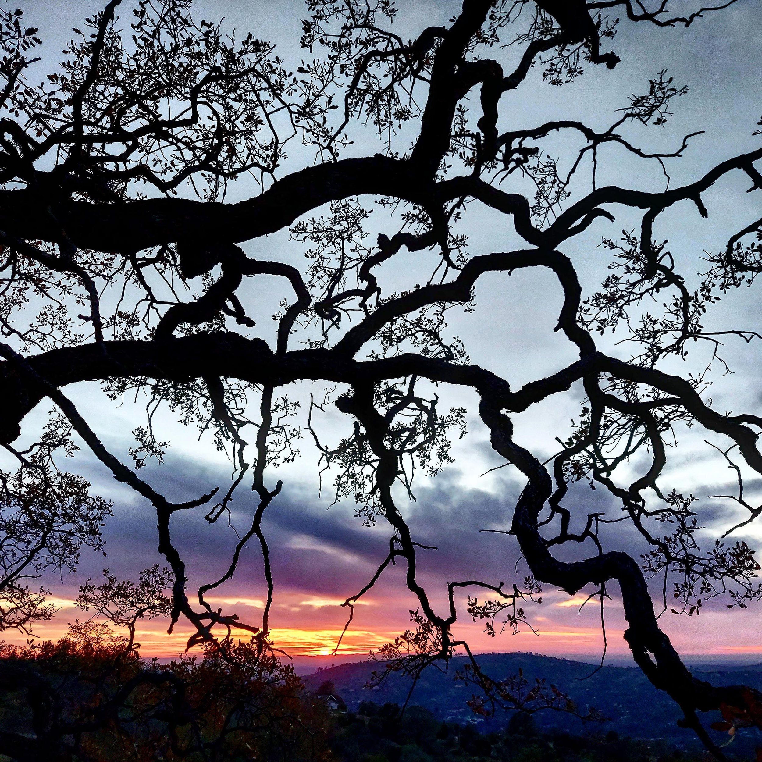 IMG_20210105_181547_175 copy.jpg