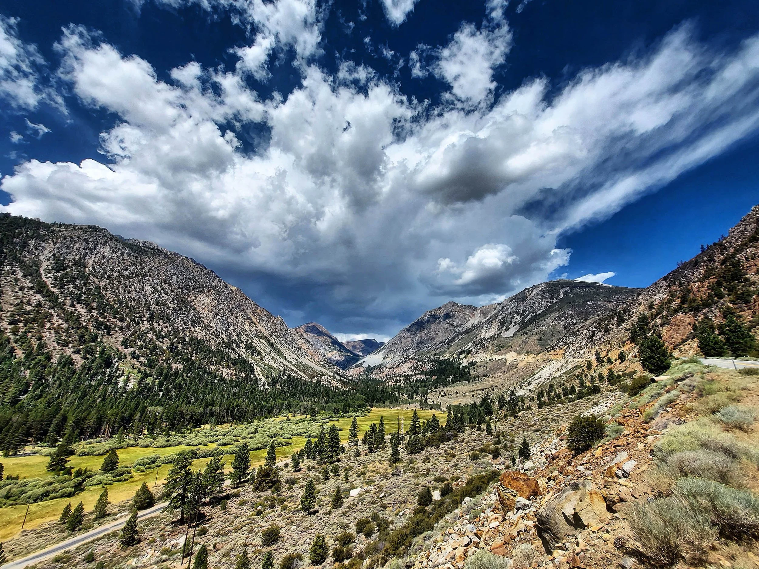 IMG_20200811_142705_490 85x.jpg