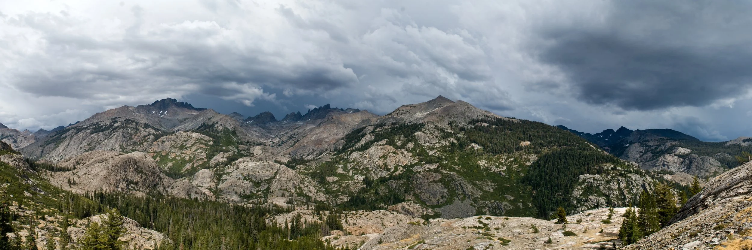 Ritter copy 8x24 2 copy.jpg