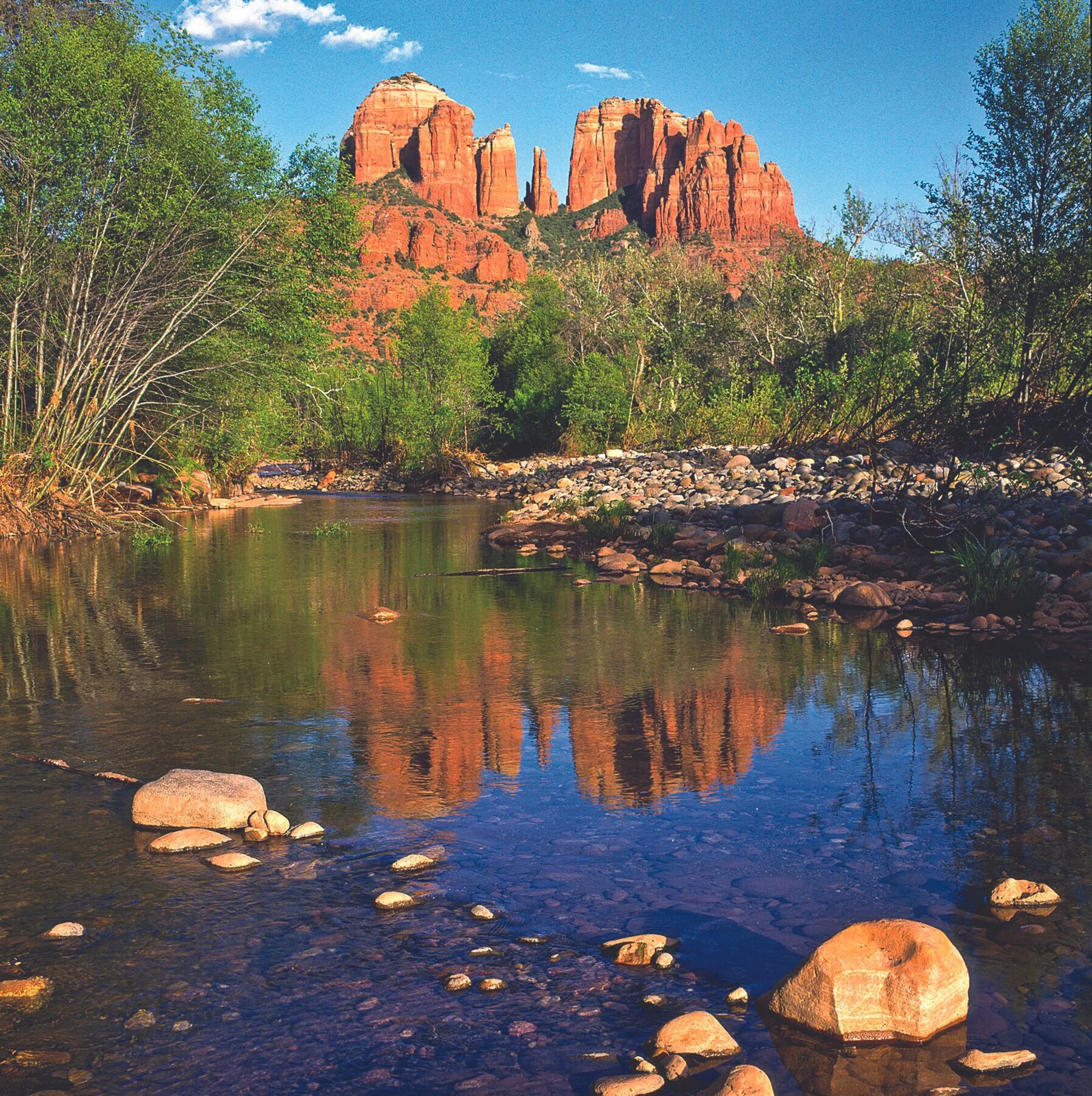 IMG_20121027_012603 6xC.jpg