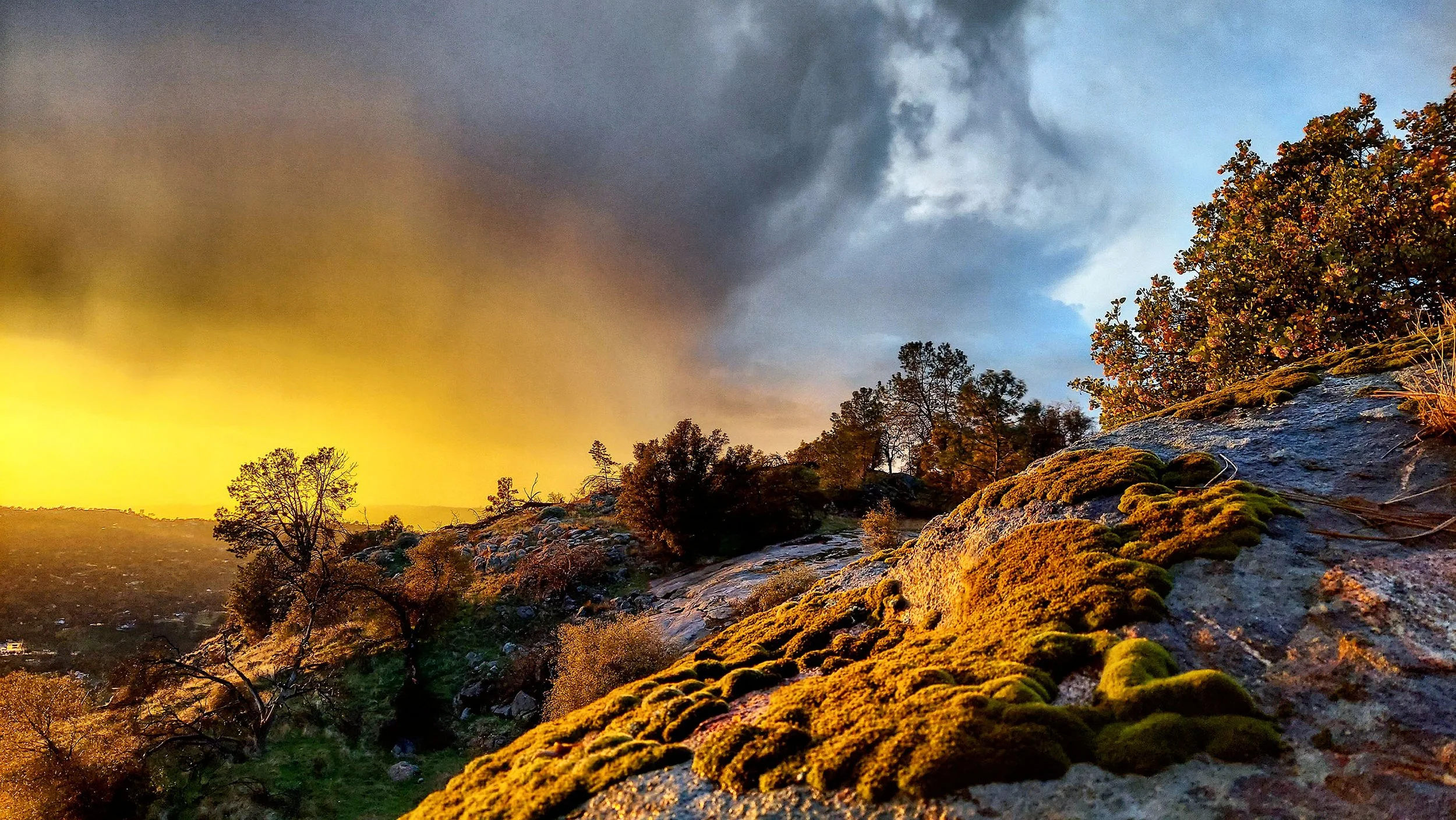 IMG_20210213_202845_297 copy.jpg