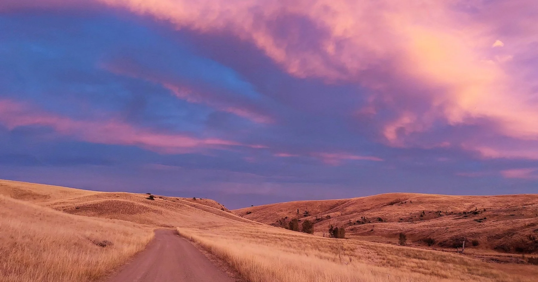 Spring Creek Road MT.jpeg