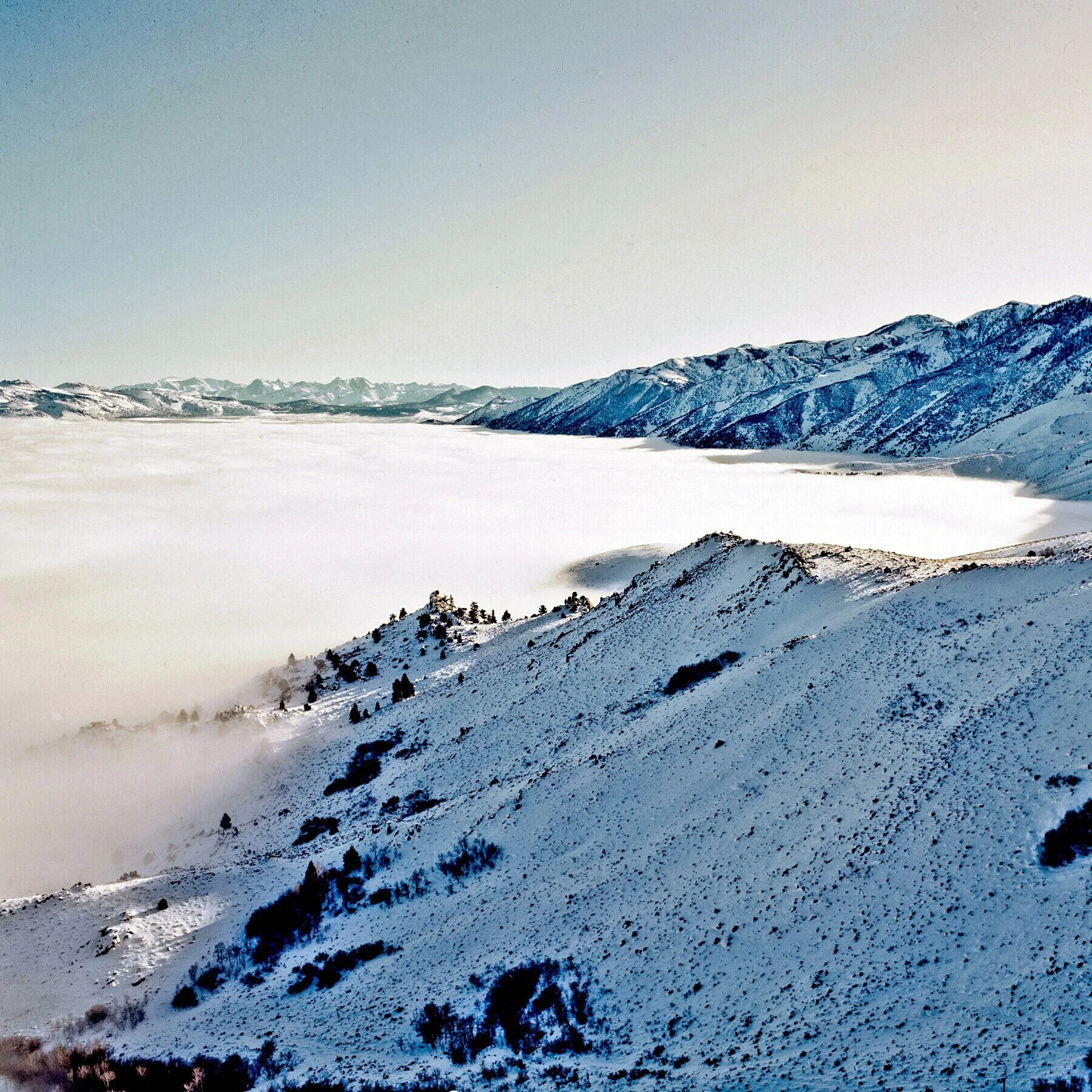 IMG_20121211_141028 6x.jpg