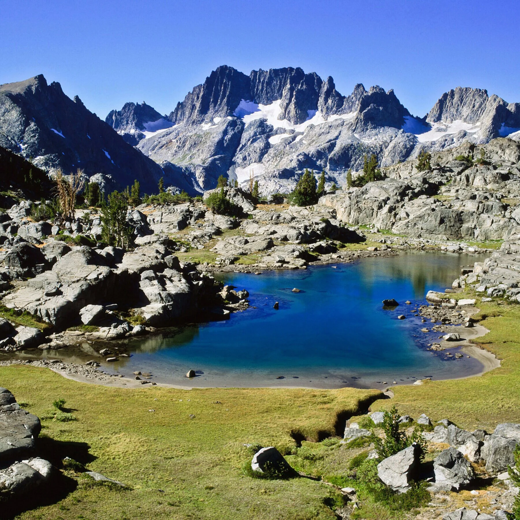 IMG_20130114_073928 6x.jpg